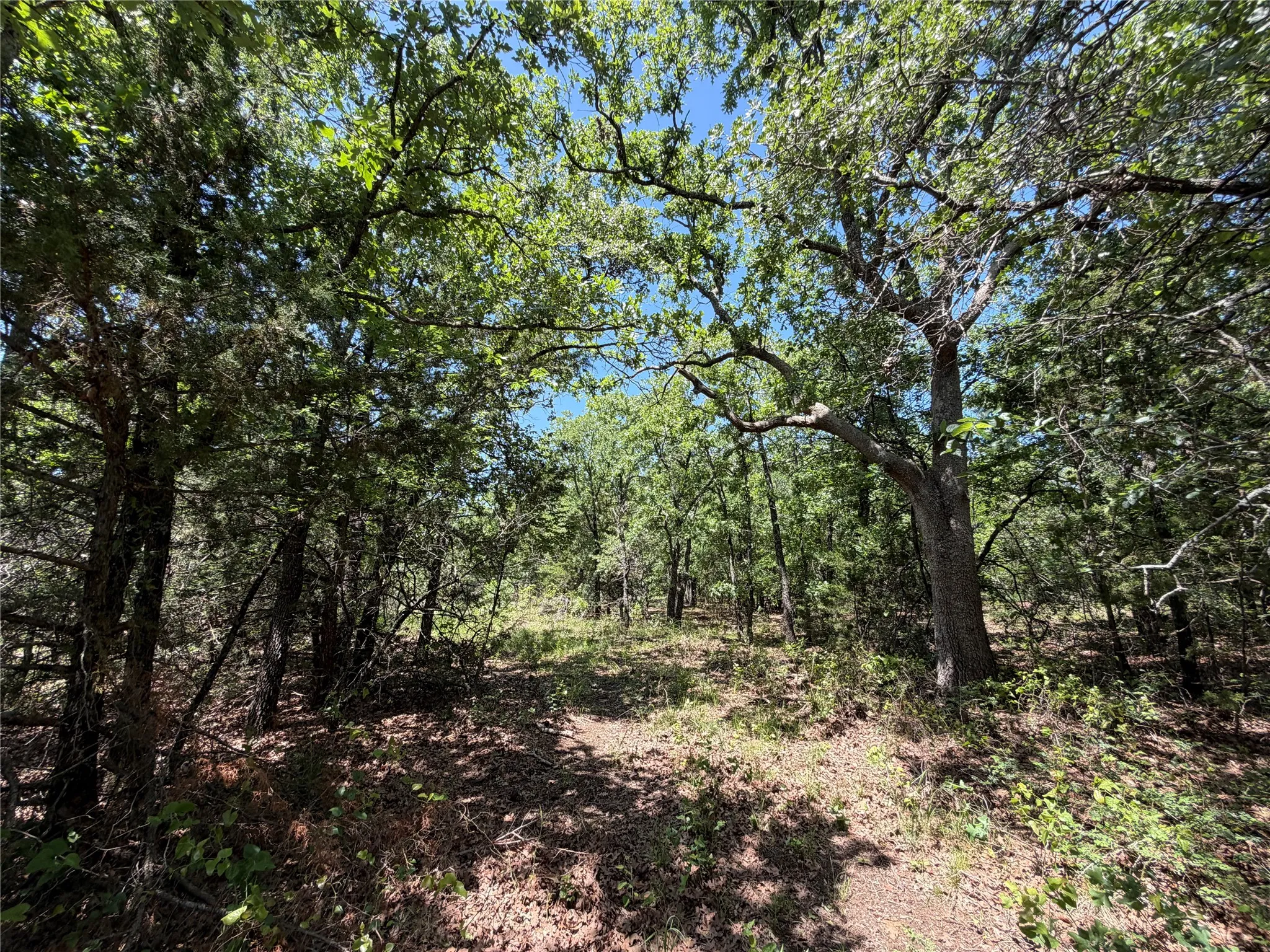 Unimproved Land For Sale in Montague County , 230 Keys Road, Sunset, Texas 76270, 0, 0, Garage spaces, 0 Sqft, built in 0, Price $675,000, mls#21190863, Real Estate Agent in Sunset, Homes For Sale in Montague county, Homes For Sale in Sunset, Realtor in Sunset Texas, Real Estate Brokerage Independent Realty Texas, Luminita Cordes Realtor