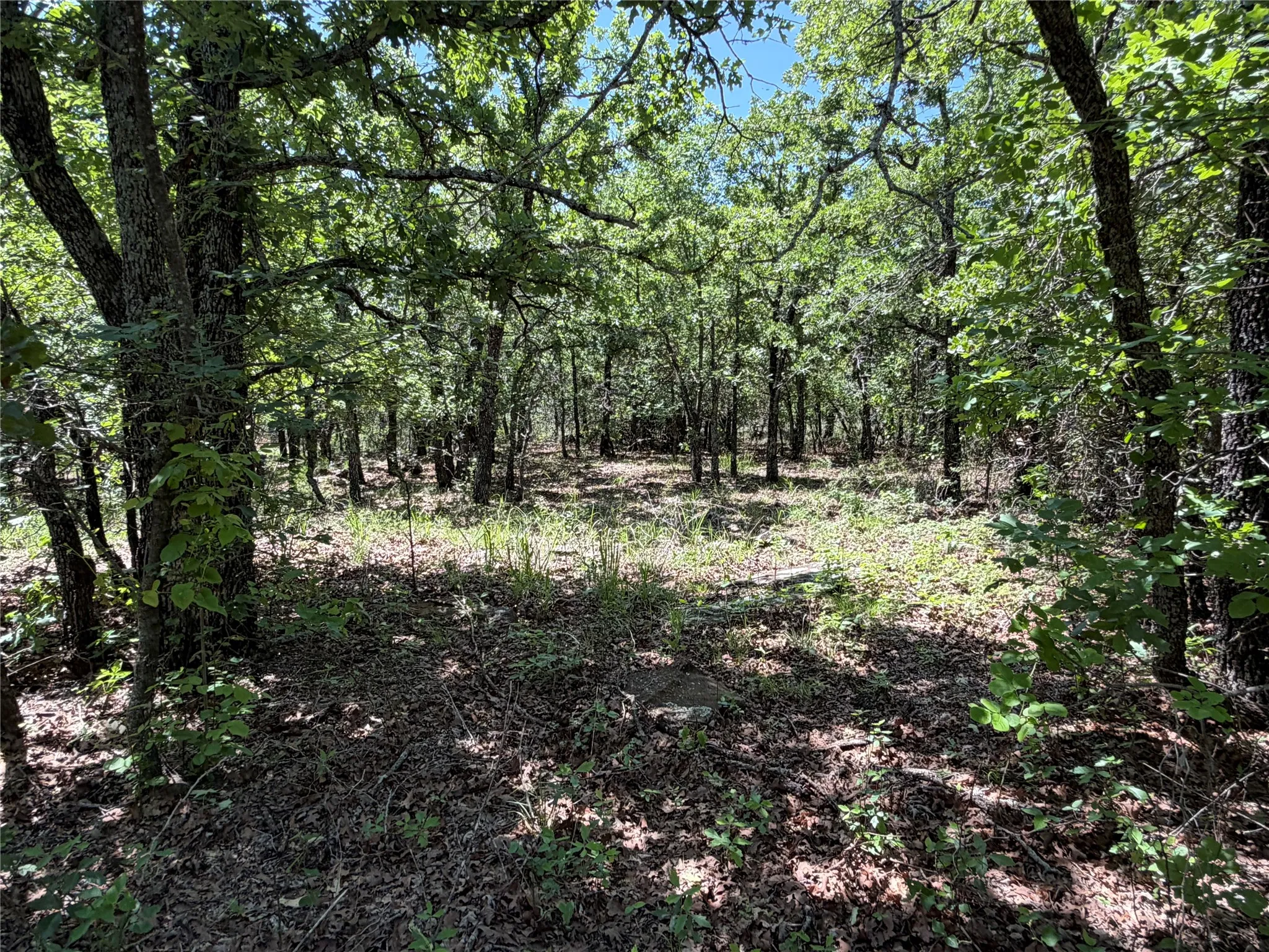Unimproved Land For Sale in Montague County , 230 Keys Road, Sunset, Texas 76270, 0, 0, Garage spaces, 0 Sqft, built in 0, Price $675,000, mls#21190863, Real Estate Agent in Sunset, Homes For Sale in Montague county, Homes For Sale in Sunset, Realtor in Sunset Texas, Real Estate Brokerage Independent Realty Texas, Luminita Cordes Realtor