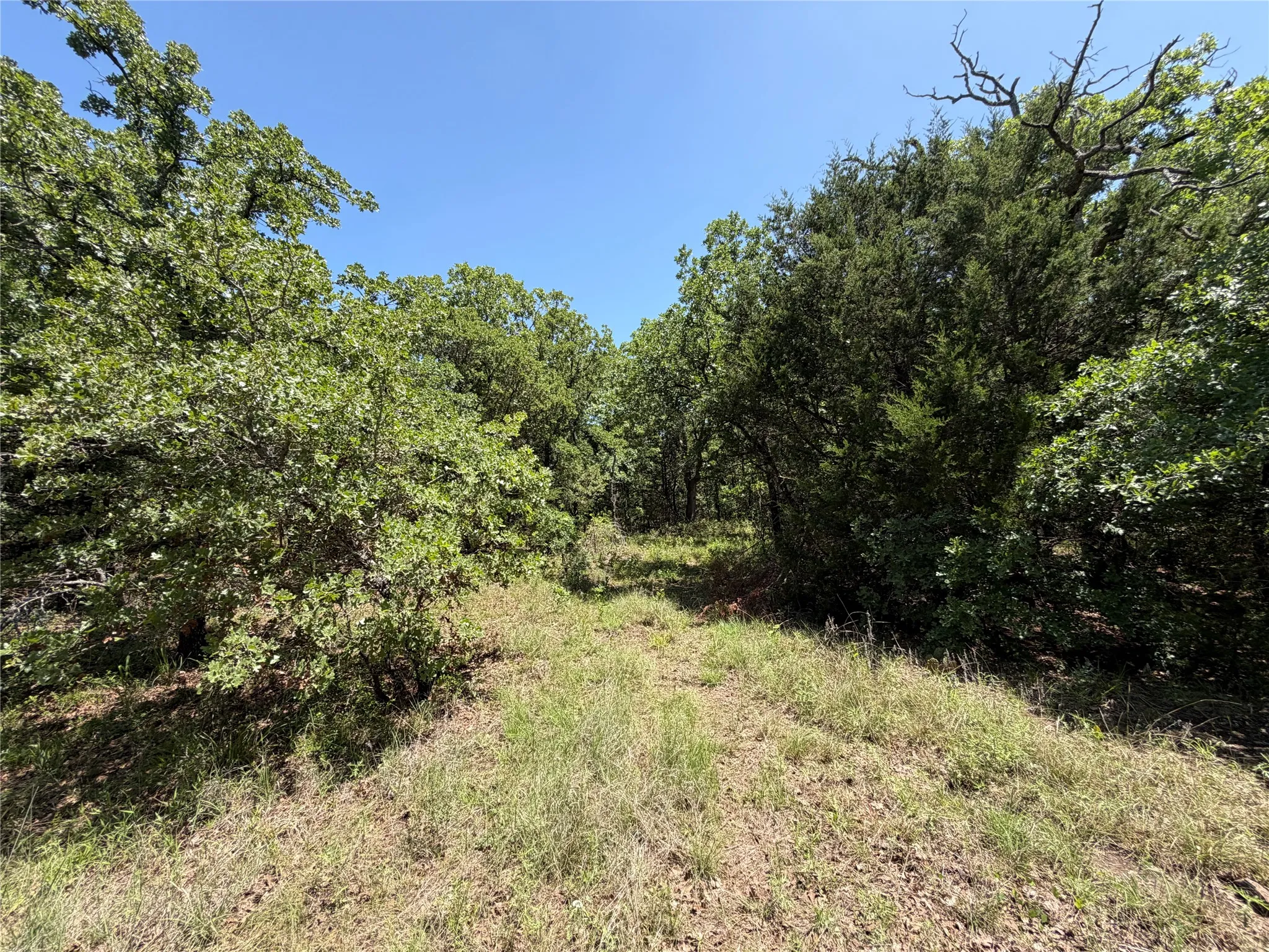 Unimproved Land For Sale in Montague County , 230 Keys Road, Sunset, Texas 76270, 0, 0, Garage spaces, 0 Sqft, built in 0, Price $675,000, mls#21190863, Real Estate Agent in Sunset, Homes For Sale in Montague county, Homes For Sale in Sunset, Realtor in Sunset Texas, Real Estate Brokerage Independent Realty Texas, Luminita Cordes Realtor