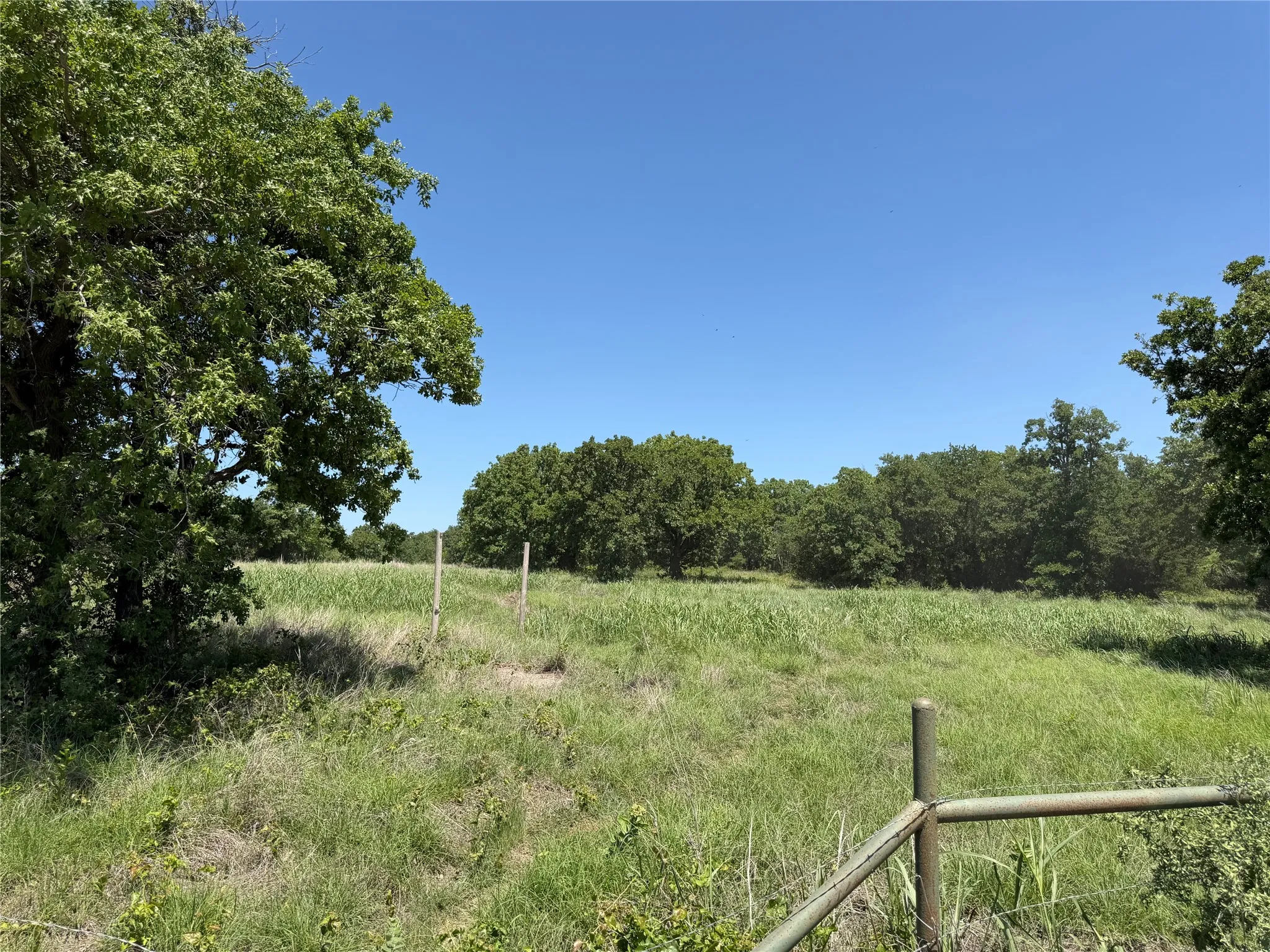 Unimproved Land For Sale in Montague County , 230 Keys Road, Sunset, Texas 76270, 0, 0, Garage spaces, 0 Sqft, built in 0, Price $675,000, mls#21190863, Real Estate Agent in Sunset, Homes For Sale in Montague county, Homes For Sale in Sunset, Realtor in Sunset Texas, Real Estate Brokerage Independent Realty Texas, Luminita Cordes Realtor