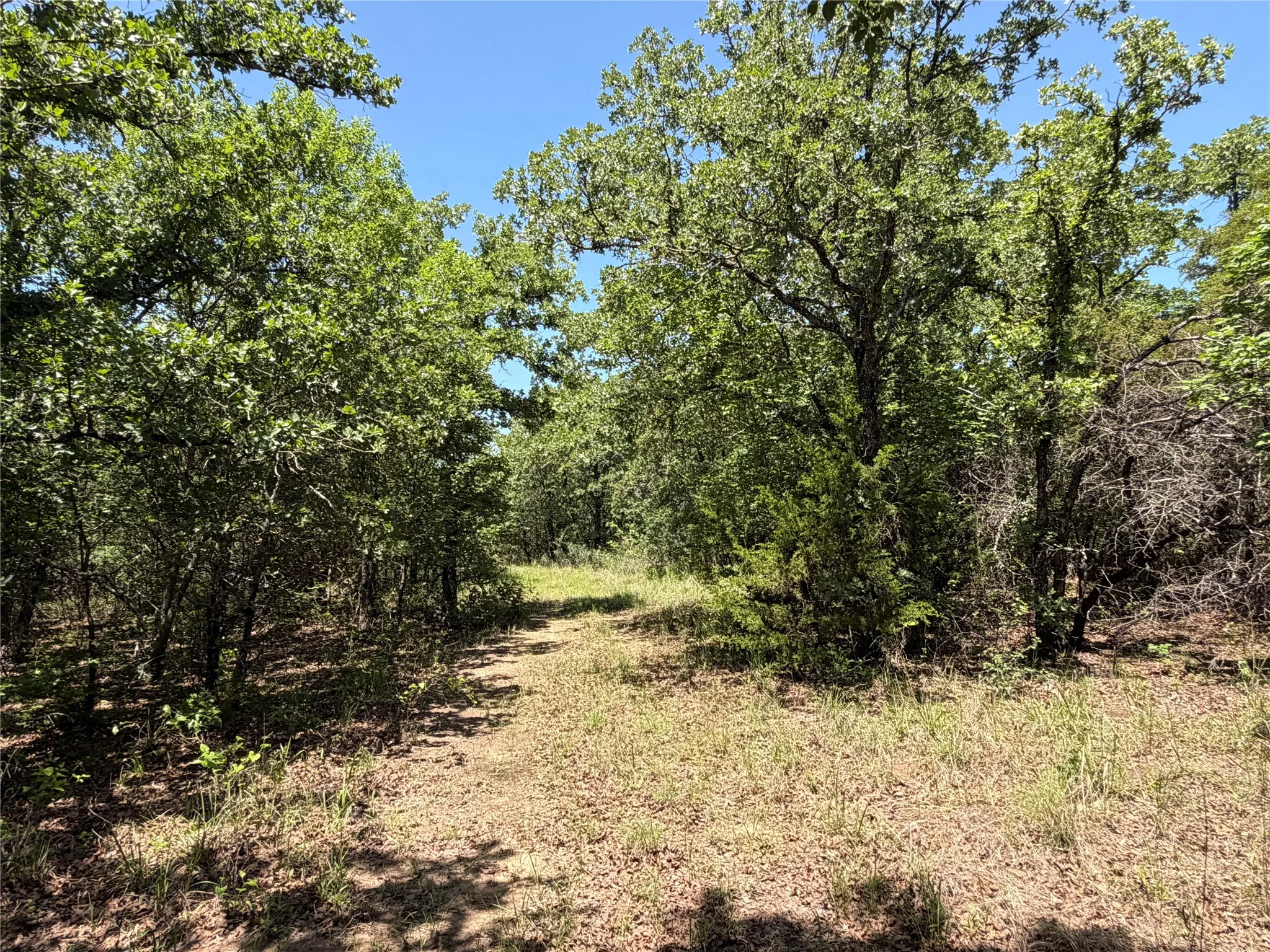 Unimproved Land For Sale in Montague County , 230 Keys Road, Sunset, Texas 76270, 0, 0, Garage spaces, 0 Sqft, built in 0, Price $675,000, mls#21190863, Real Estate Agent in Sunset, Homes For Sale in Montague county, Homes For Sale in Sunset, Realtor in Sunset Texas, Real Estate Brokerage Independent Realty Texas, Luminita Cordes Realtor