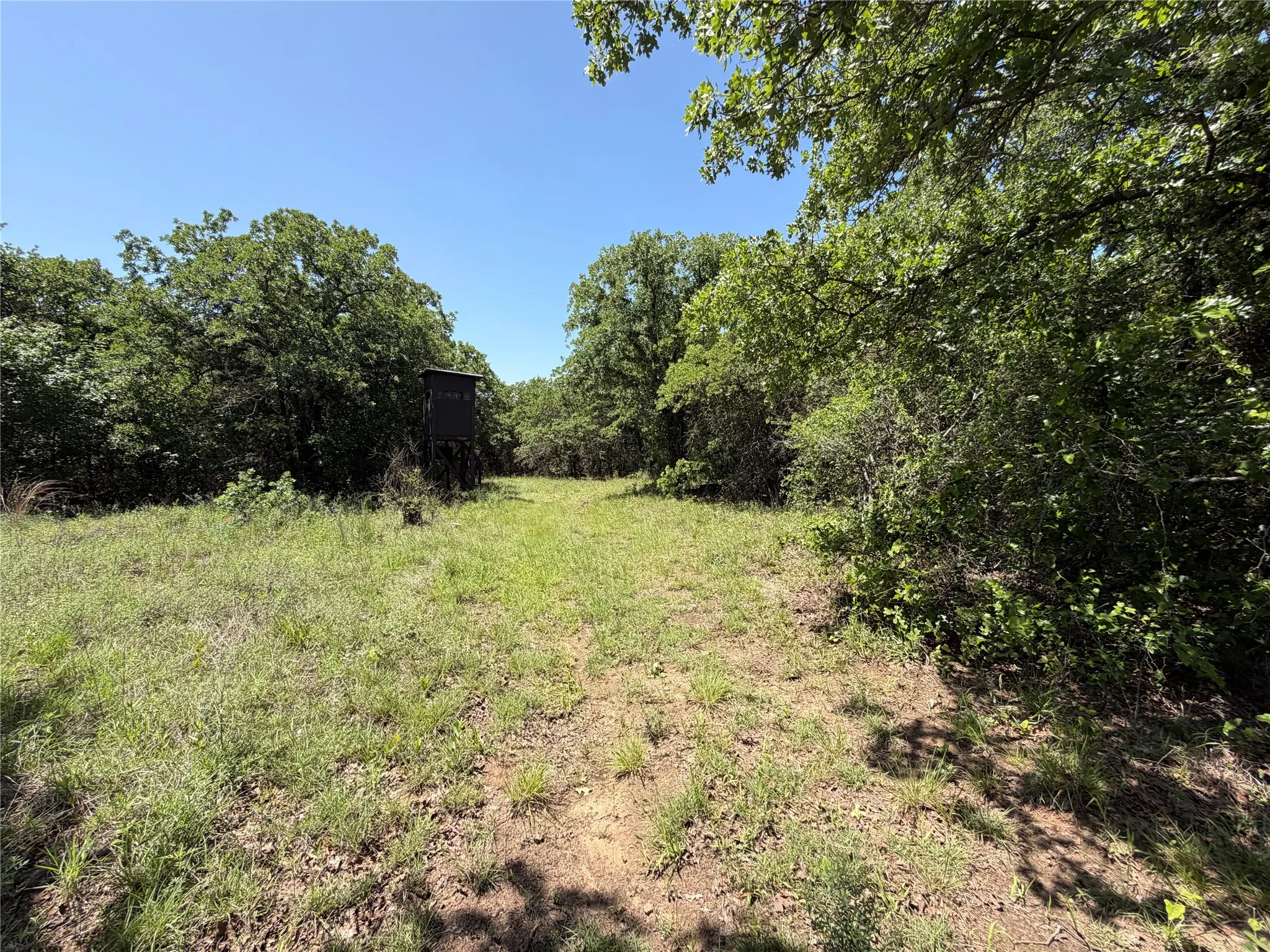 Unimproved Land For Sale in Montague County , 230 Keys Road, Sunset, Texas 76270, 0, 0, Garage spaces, 0 Sqft, built in 0, Price $675,000, mls#21190863, Real Estate Agent in Sunset, Homes For Sale in Montague county, Homes For Sale in Sunset, Realtor in Sunset Texas, Real Estate Brokerage Independent Realty Texas, Luminita Cordes Realtor
