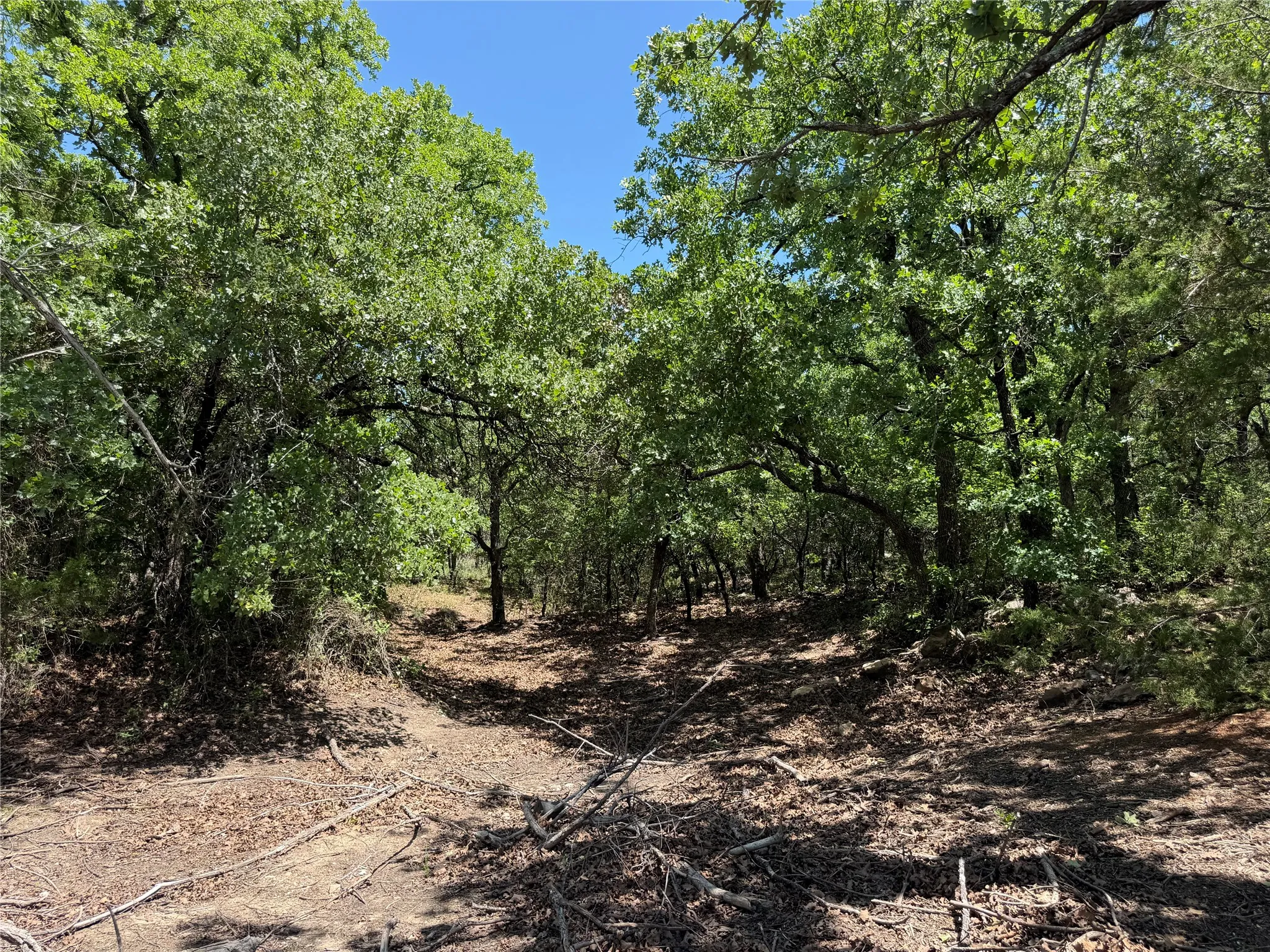 Unimproved Land For Sale in Montague County , 230 Keys Road, Sunset, Texas 76270, 0, 0, Garage spaces, 0 Sqft, built in 0, Price $675,000, mls#21190863, Real Estate Agent in Sunset, Homes For Sale in Montague county, Homes For Sale in Sunset, Realtor in Sunset Texas, Real Estate Brokerage Independent Realty Texas, Luminita Cordes Realtor