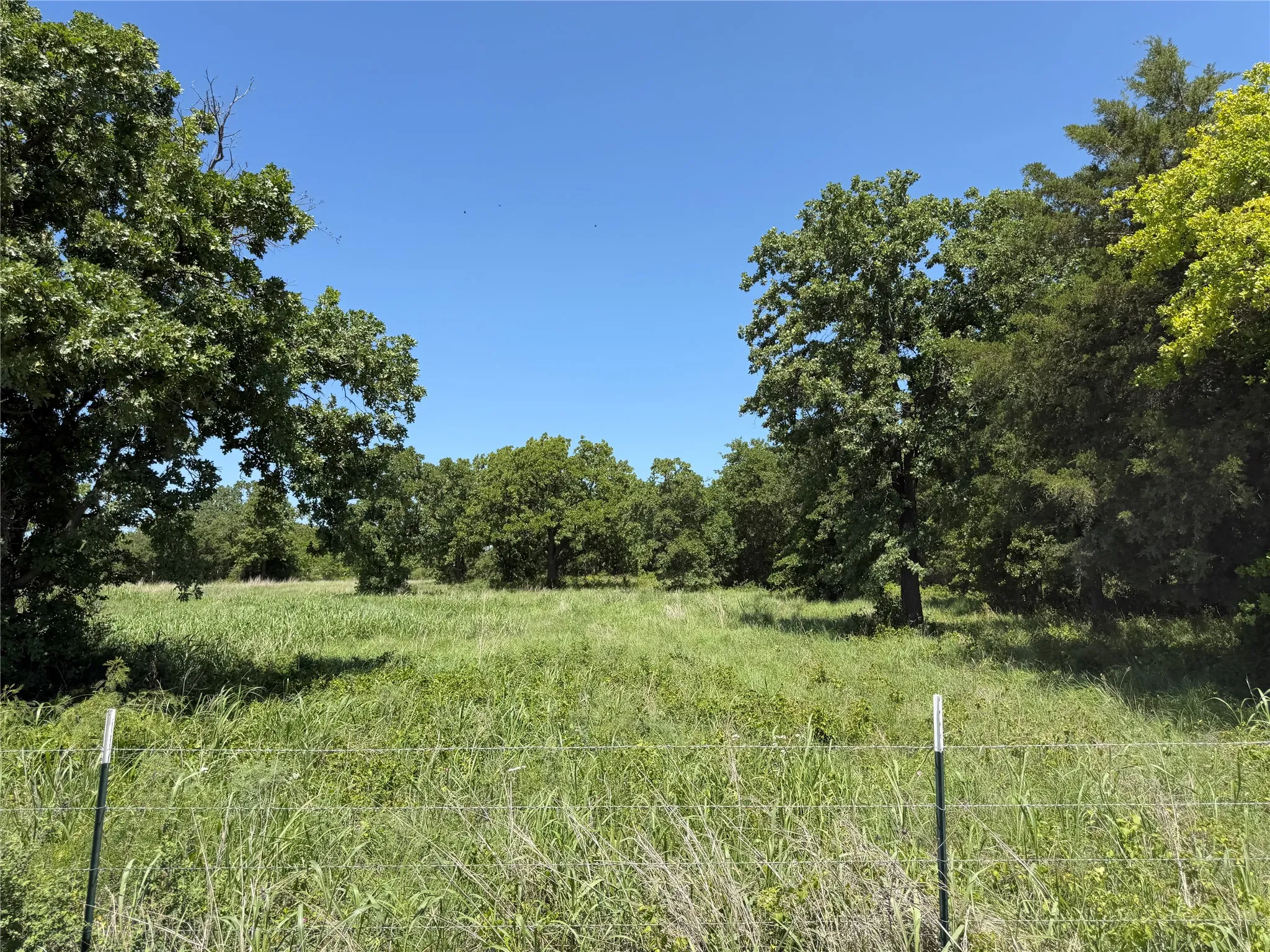 Unimproved Land For Sale in Montague County , 230 Keys Road, Sunset, Texas 76270, 0, 0, Garage spaces, 0 Sqft, built in 0, Price $675,000, mls#21190863, Real Estate Agent in Sunset, Homes For Sale in Montague county, Homes For Sale in Sunset, Realtor in Sunset Texas, Real Estate Brokerage Independent Realty Texas, Luminita Cordes Realtor
