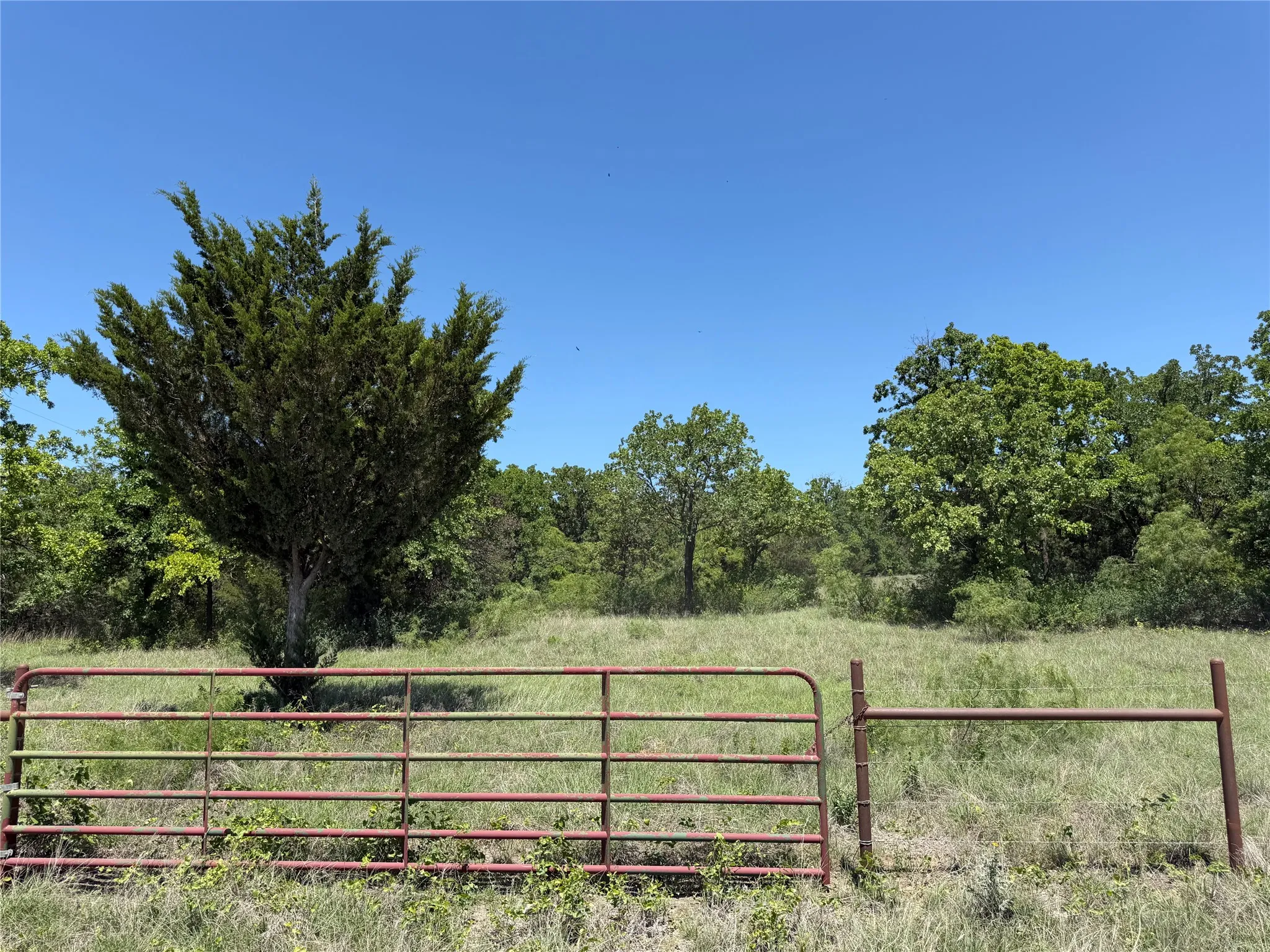 Unimproved Land For Sale in Montague County , 230 Keys Road, Sunset, Texas 76270, 0, 0, Garage spaces, 0 Sqft, built in 0, Price $675,000, mls#21190863, Real Estate Agent in Sunset, Homes For Sale in Montague county, Homes For Sale in Sunset, Realtor in Sunset Texas, Real Estate Brokerage Independent Realty Texas, Luminita Cordes Realtor
