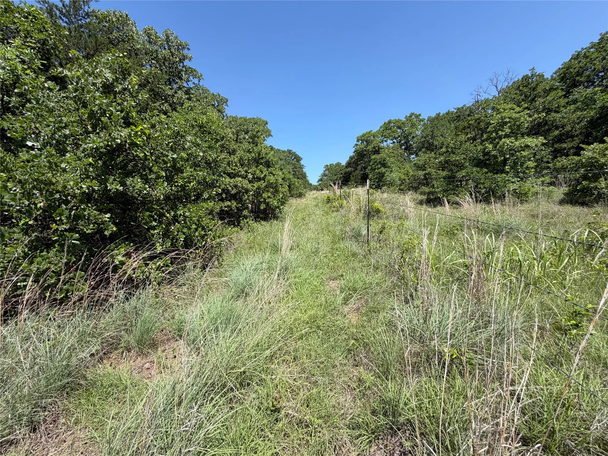 Unimproved Land For Sale in Montague County , 230 Keys Road, Sunset, Texas 76270, 0, 0, Garage spaces, 0 Sqft, built in 0, Price $675,000, mls#21190863, Real Estate Agent in Sunset, Homes For Sale in Montague county, Homes For Sale in Sunset, Realtor in Sunset Texas, Real Estate Brokerage Independent Realty Texas, Luminita Cordes Realtor