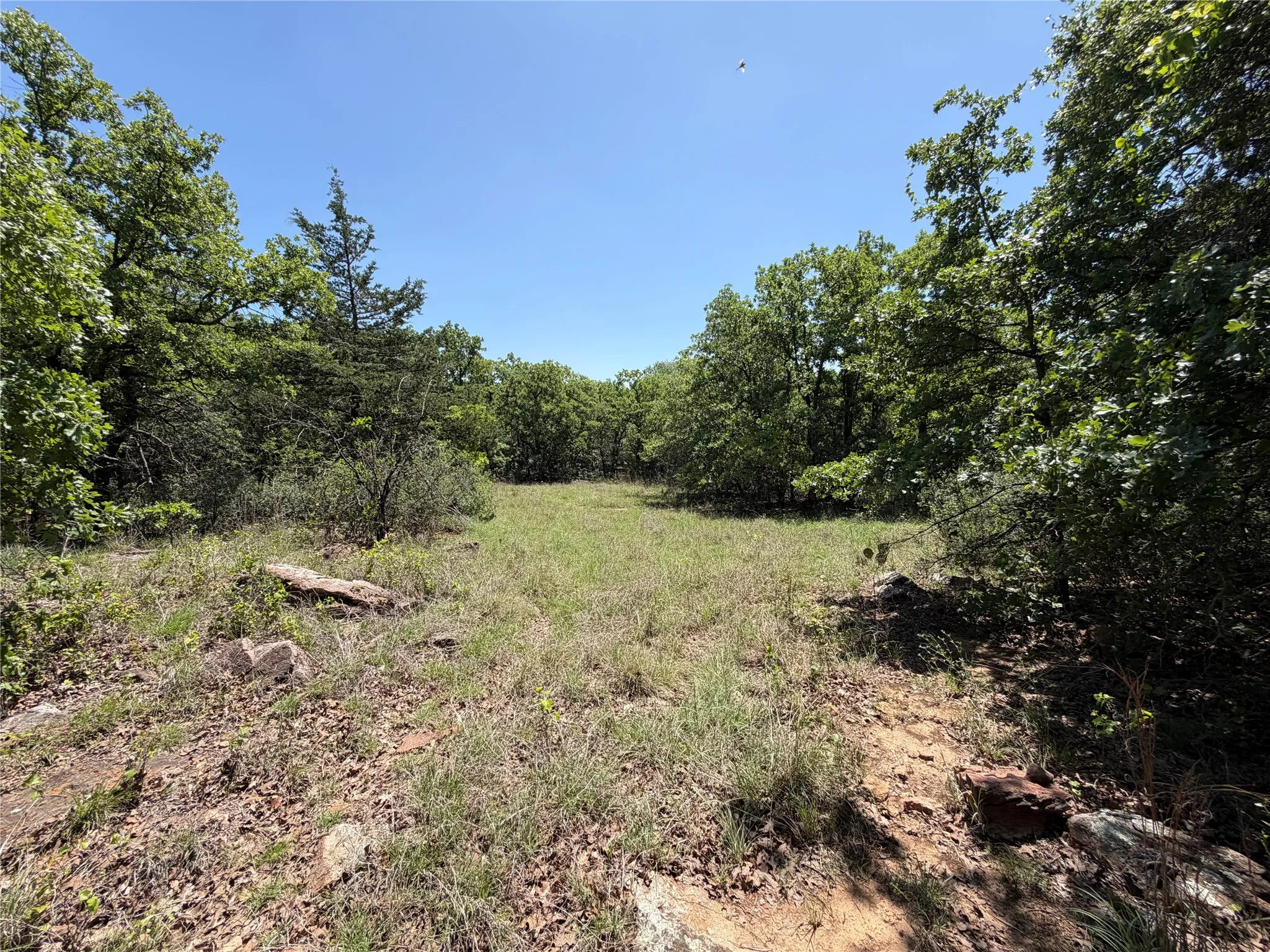 Unimproved Land For Sale in Montague County , 230 Keys Road, Sunset, Texas 76270, 0, 0, Garage spaces, 0 Sqft, built in 0, Price $675,000, mls#21190863, Real Estate Agent in Sunset, Homes For Sale in Montague county, Homes For Sale in Sunset, Realtor in Sunset Texas, Real Estate Brokerage Independent Realty Texas, Luminita Cordes Realtor