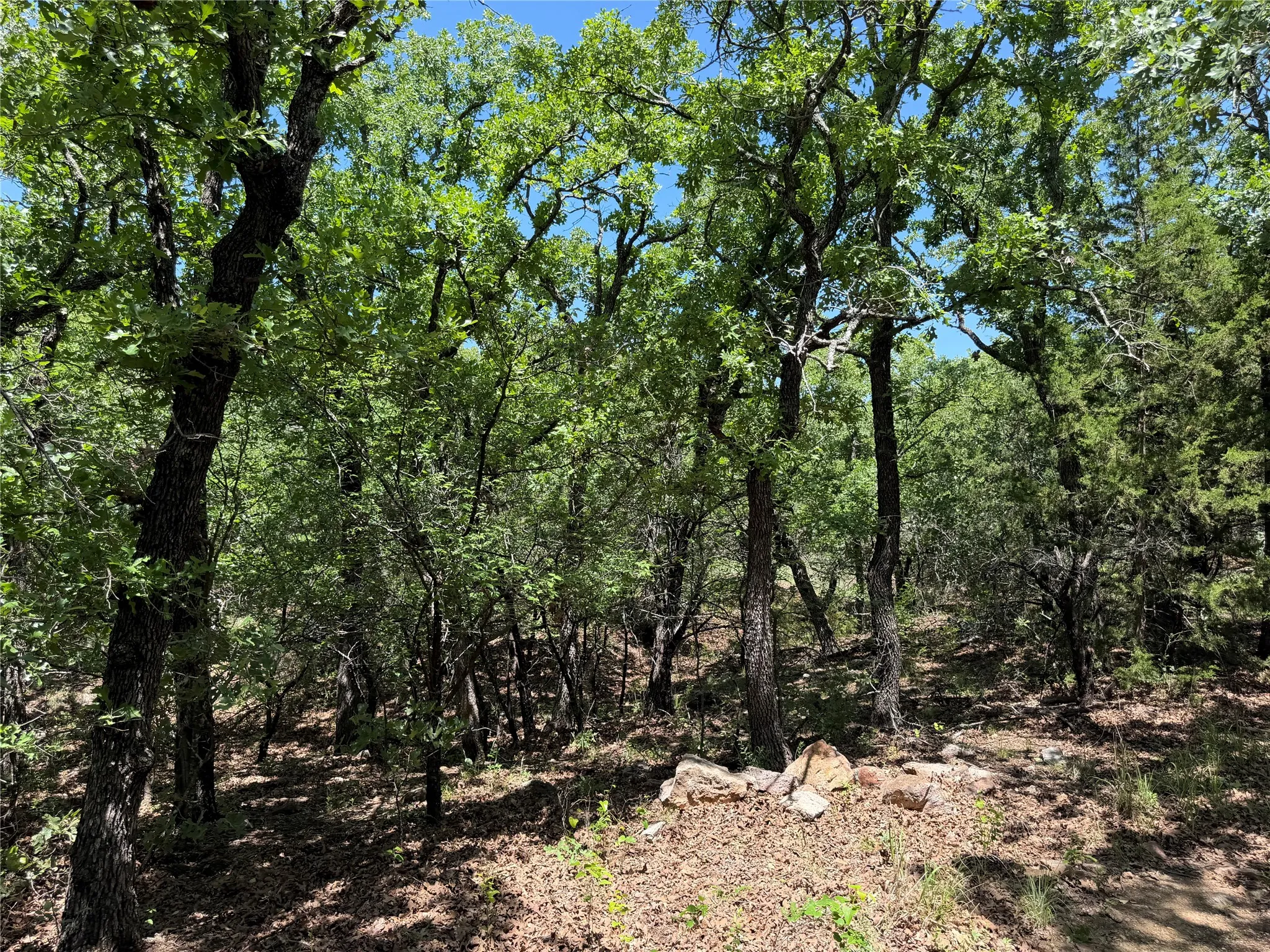 Unimproved Land For Sale in Montague County , 230 Keys Road, Sunset, Texas 76270, 0, 0, Garage spaces, 0 Sqft, built in 0, Price $675,000, mls#21190863, Real Estate Agent in Sunset, Homes For Sale in Montague county, Homes For Sale in Sunset, Realtor in Sunset Texas, Real Estate Brokerage Independent Realty Texas, Luminita Cordes Realtor