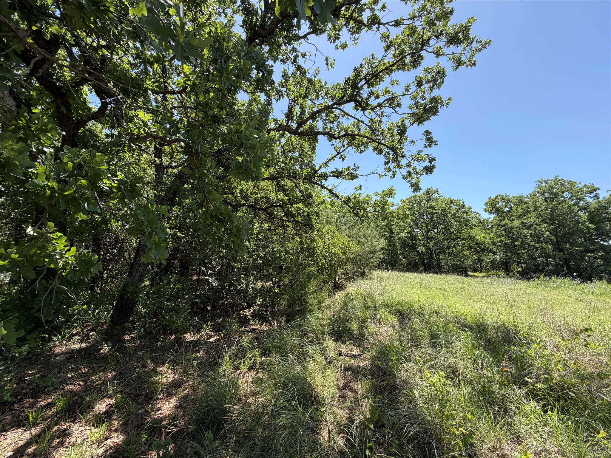 Unimproved Land For Sale in Montague County , 230 Keys Road, Sunset, Texas 76270, 0, 0, Garage spaces, 0 Sqft, built in 0, Price $675,000, mls#21190863, Real Estate Agent in Sunset, Homes For Sale in Montague county, Homes For Sale in Sunset, Realtor in Sunset Texas, Real Estate Brokerage Independent Realty Texas, Luminita Cordes Realtor