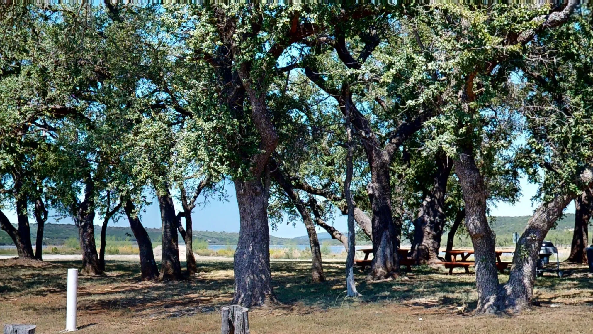 Unimproved Land For Sale in Palo Pinto County , Lot 461 Wren Loop, Graford, Texas 76449, 0, 0, Garage spaces, 0 Sqft, built in 0, Price $40,000, mls#21190913, Real Estate Agent in Graford, Homes For Sale in Palo Pinto county, Homes For Sale in Graford, Realtor in Graford Texas, Real Estate Brokerage Independent Realty Texas, Luminita Cordes Realtor