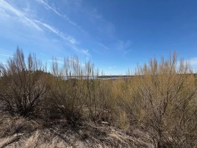 Unimproved Land For Sale in Palo Pinto County , Lot 461 Wren Loop, Graford, Texas 76449, 0, 0, Garage spaces, 0 Sqft, built in 0, Price $40,000, mls#21190913, Real Estate Agent in Graford, Homes For Sale in Palo Pinto county, Homes For Sale in Graford, Realtor in Graford Texas, Real Estate Brokerage Independent Realty Texas, Luminita Cordes Realtor