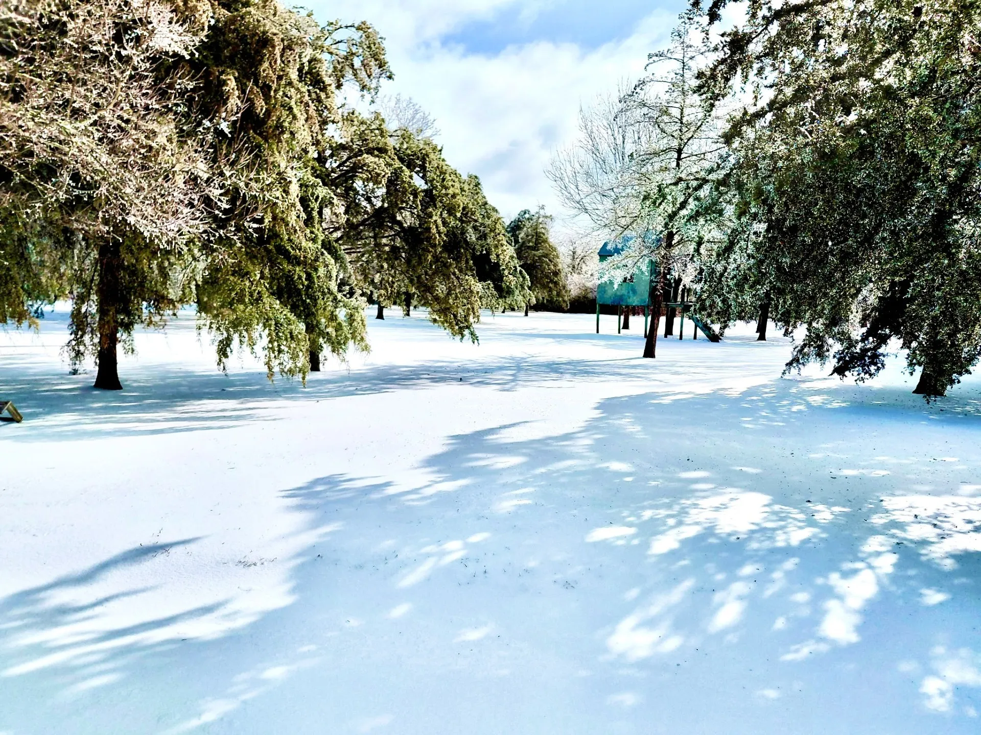 Winter wonderland ~ Feb 2026