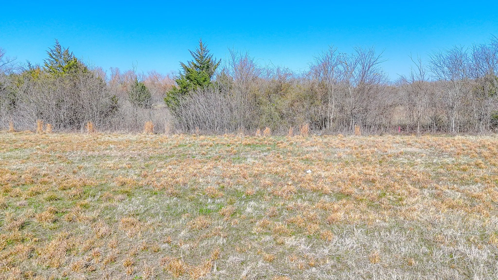 Unimproved Land For Sale in Navarro County , Lot 3 SE CR 3300, Kerens, Texas 75144, 0, 0, Garage spaces, 0 Sqft, built in 0, mls#21190629, Real Estate Agent in Kerens, Homes For Sale in Navarro county, Homes For Sale in Kerens, Realtor in Kerens Texas, Real Estate Brokerage Independent Realty Texas, Luminita Cordes Realtor