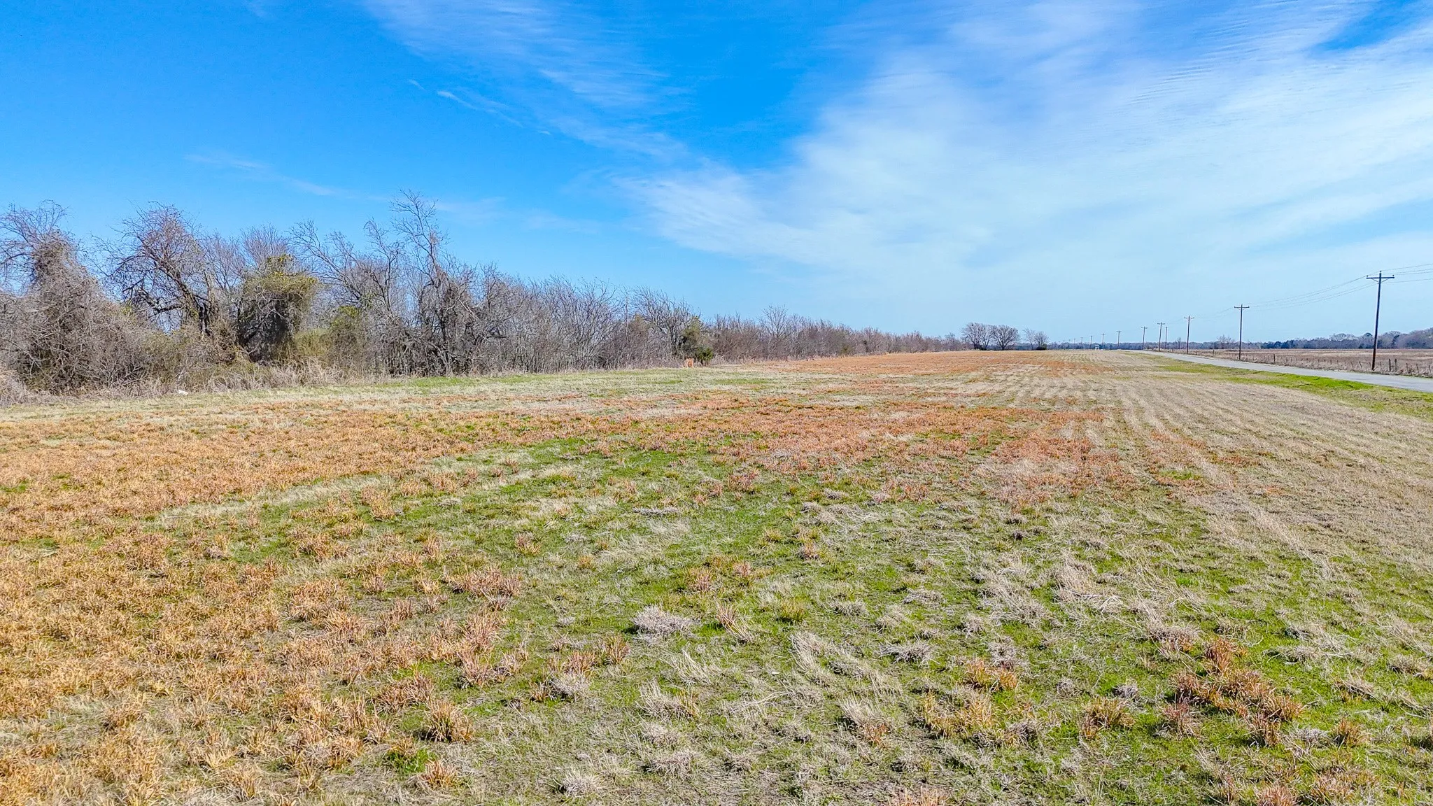 Unimproved Land For Sale in Navarro County , Lot 4 SE CR 3300, Kerens, Texas 75144, 0, 0, Garage spaces, 0 Sqft, built in 0, mls#21190641, Real Estate Agent in Kerens, Homes For Sale in Navarro county, Homes For Sale in Kerens, Realtor in Kerens Texas, Real Estate Brokerage Independent Realty Texas, Luminita Cordes Realtor