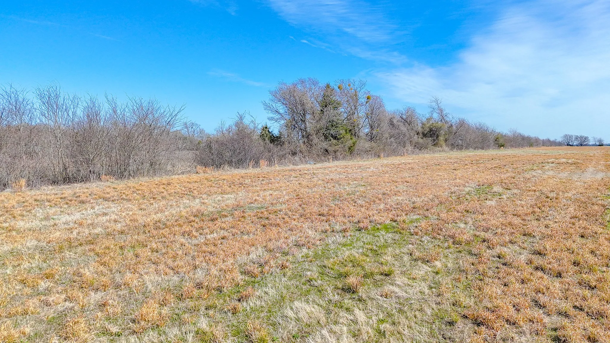 Unimproved Land For Sale in Navarro County , Lot 6 SE CR 3300, Kerens, Texas 75144, 0, 0, Garage spaces, 0 Sqft, built in 0, mls#21191142, Real Estate Agent in Kerens, Homes For Sale in Navarro county, Homes For Sale in Kerens, Realtor in Kerens Texas, Real Estate Brokerage Independent Realty Texas, Luminita Cordes Realtor