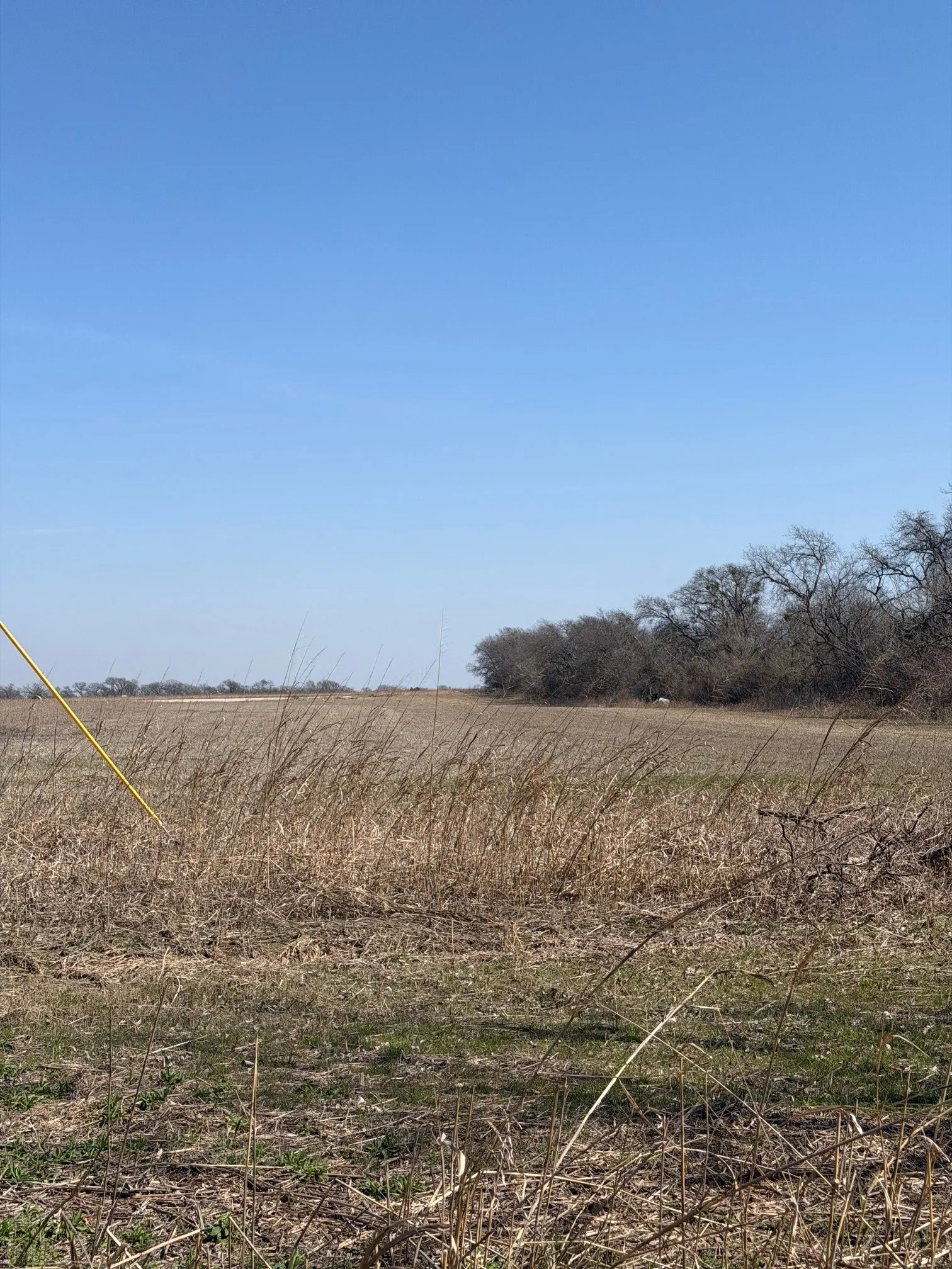 Unimproved Land For Sale in Johnson County , 5697 County Road 410, Alvarado, Texas 76009, 0, 0, Garage spaces, 0 Sqft, built in 0, Price $120,000, mls#21191330, Real Estate Agent in Alvarado, Homes For Sale in Johnson county, Homes For Sale in Alvarado, Realtor in Alvarado Texas, Real Estate Brokerage Independent Realty Texas, Luminita Cordes Realtor