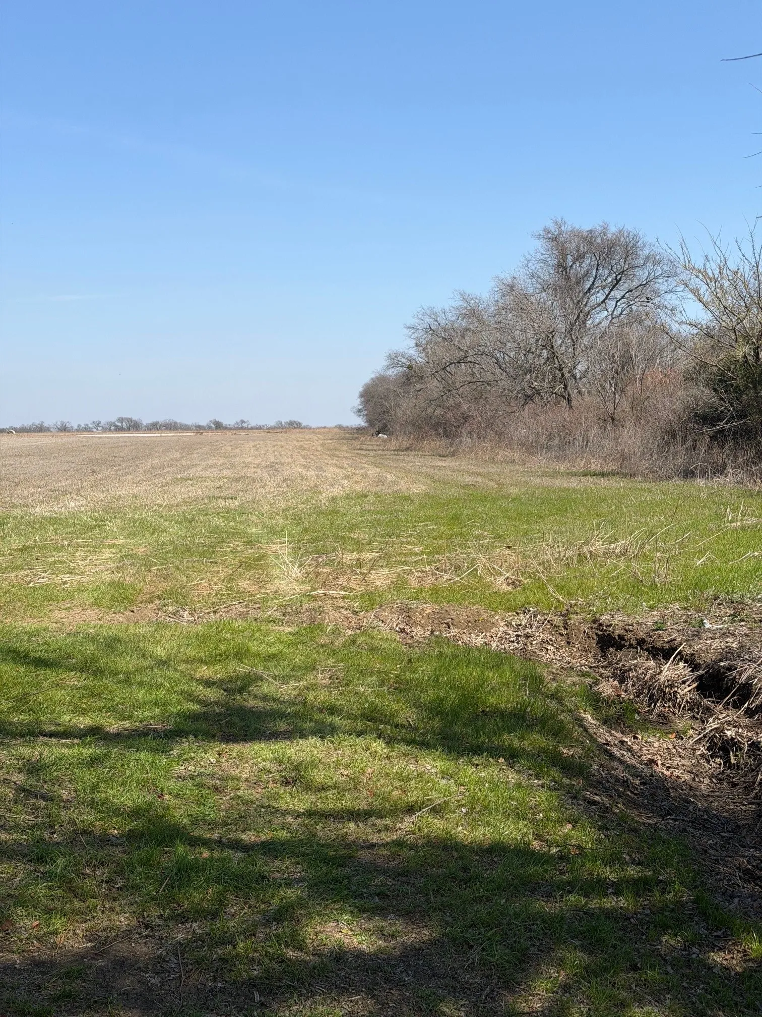 View of undeveloped land featuring rural landscape