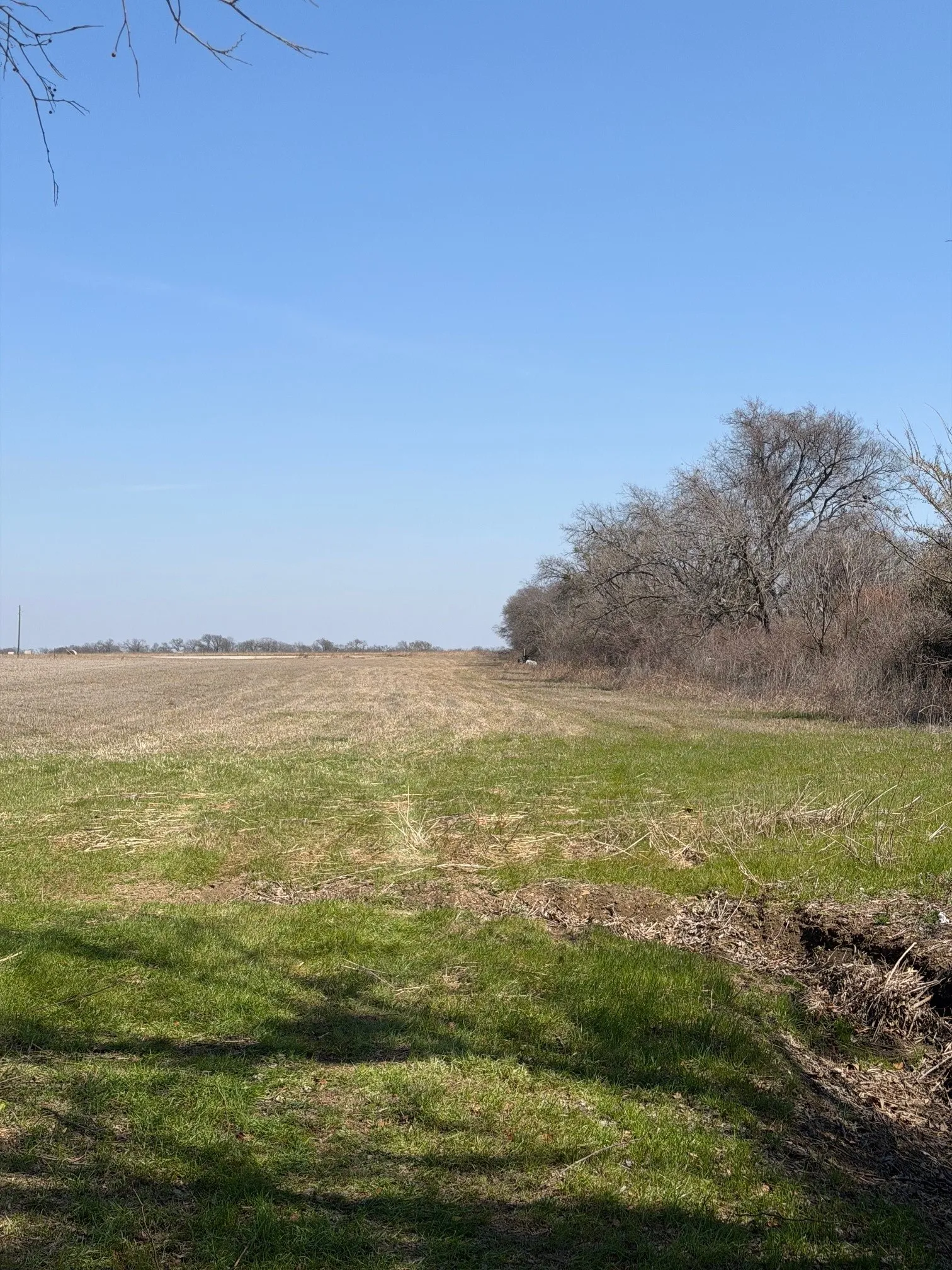 Unimproved Land For Sale in Johnson County , 5697 County Road 410, Alvarado, Texas 76009, 0, 0, Garage spaces, 0 Sqft, built in 0, Price $120,000, mls#21191330, Real Estate Agent in Alvarado, Homes For Sale in Johnson county, Homes For Sale in Alvarado, Realtor in Alvarado Texas, Real Estate Brokerage Independent Realty Texas, Luminita Cordes Realtor