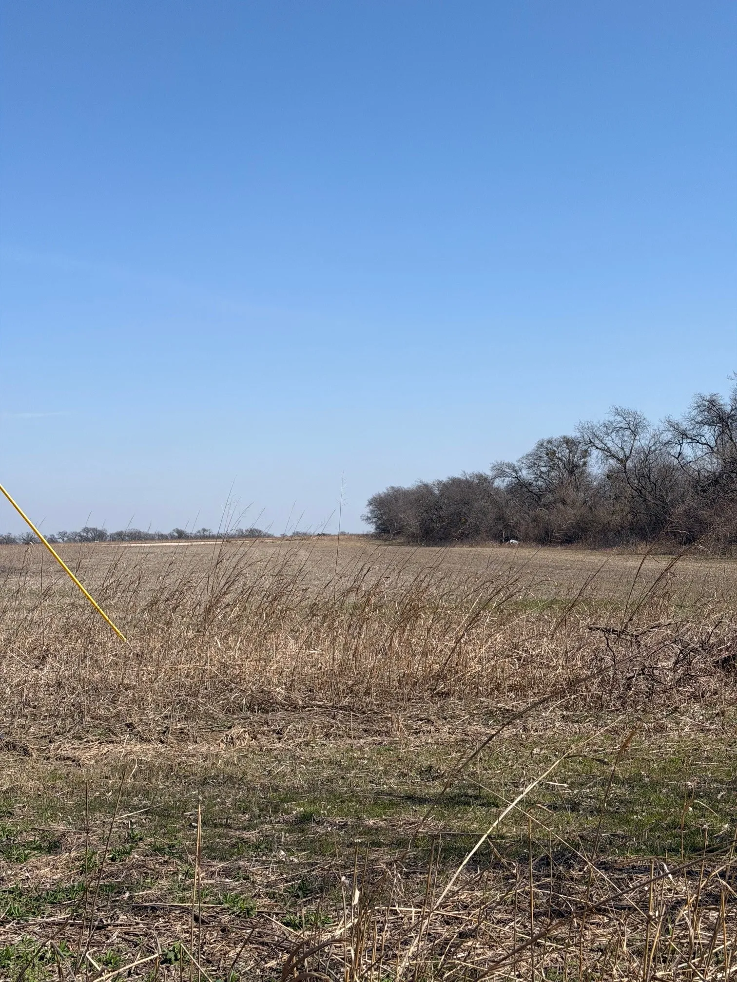 View of local wilderness featuring rural landscape