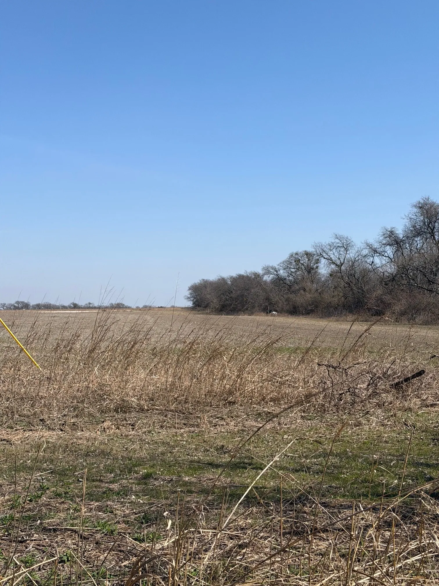 View of undeveloped land featuring rural landscape