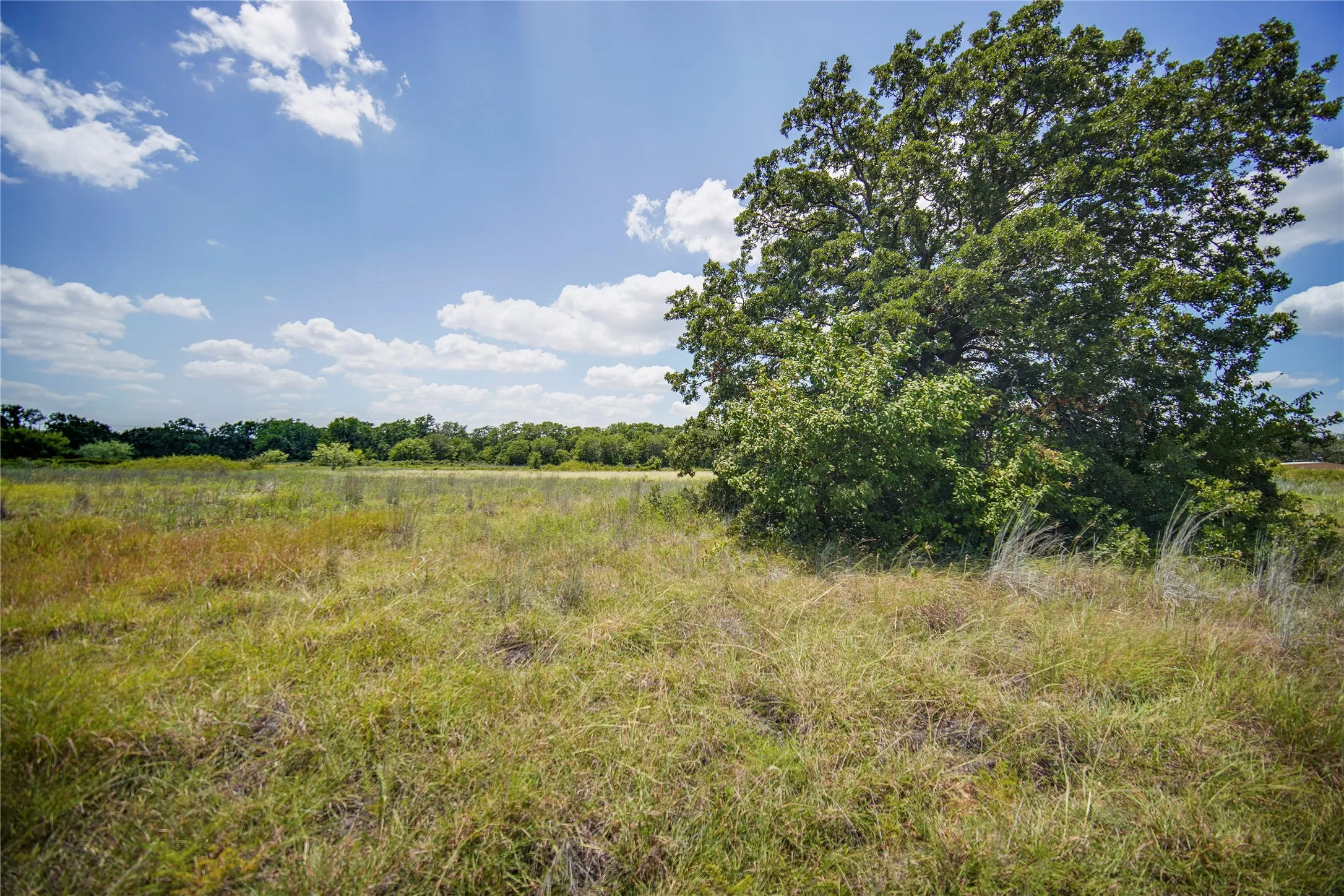 Ranch For Sale in Jack County , 8818 S 281 Highway, Perrin, Texas 76486, 0, 0, Garage spaces, 0 Sqft, built in 0, Price $532,925, mls#21191525, Real Estate Agent in Perrin, Homes For Sale in Jack county, Homes For Sale in Perrin, Realtor in Perrin Texas, Real Estate Brokerage Independent Realty Texas, Luminita Cordes Realtor