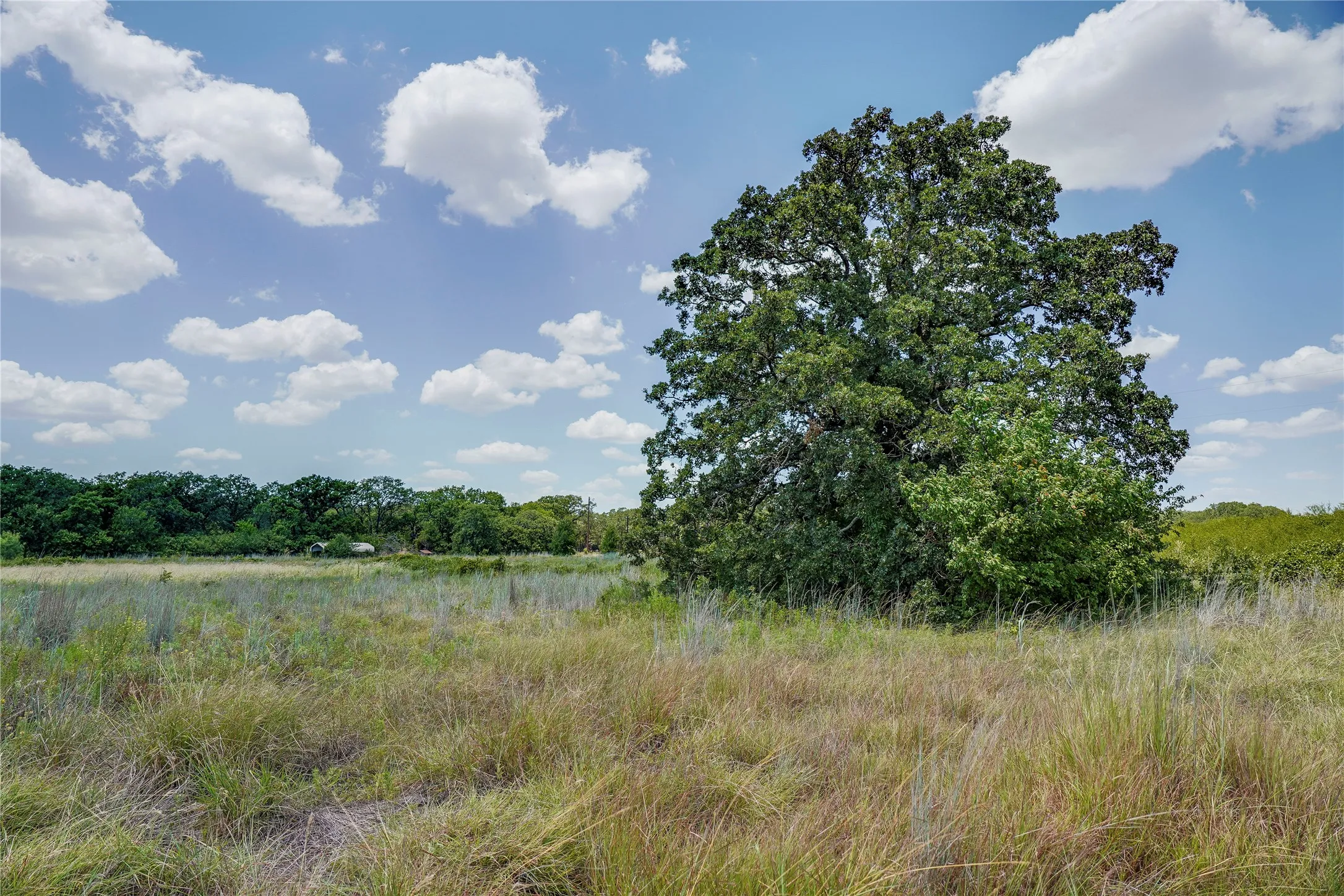 Ranch For Sale in Jack County , 8818 S 281 Highway, Perrin, Texas 76486, 0, 0, Garage spaces, 0 Sqft, built in 0, Price $532,925, mls#21191525, Real Estate Agent in Perrin, Homes For Sale in Jack county, Homes For Sale in Perrin, Realtor in Perrin Texas, Real Estate Brokerage Independent Realty Texas, Luminita Cordes Realtor