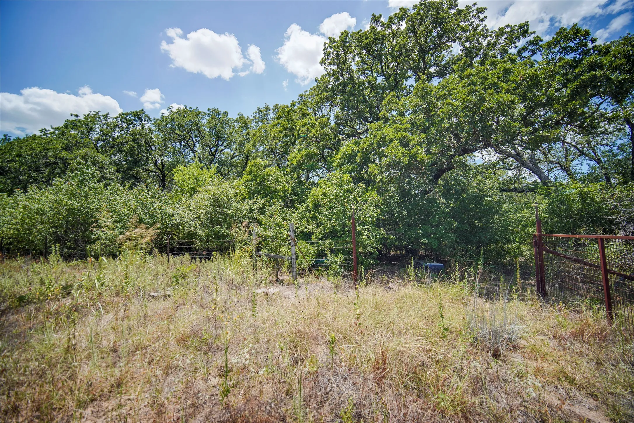 Ranch For Sale in Jack County , 8818 S 281 Highway, Perrin, Texas 76486, 0, 0, Garage spaces, 0 Sqft, built in 0, Price $532,925, mls#21191525, Real Estate Agent in Perrin, Homes For Sale in Jack county, Homes For Sale in Perrin, Realtor in Perrin Texas, Real Estate Brokerage Independent Realty Texas, Luminita Cordes Realtor