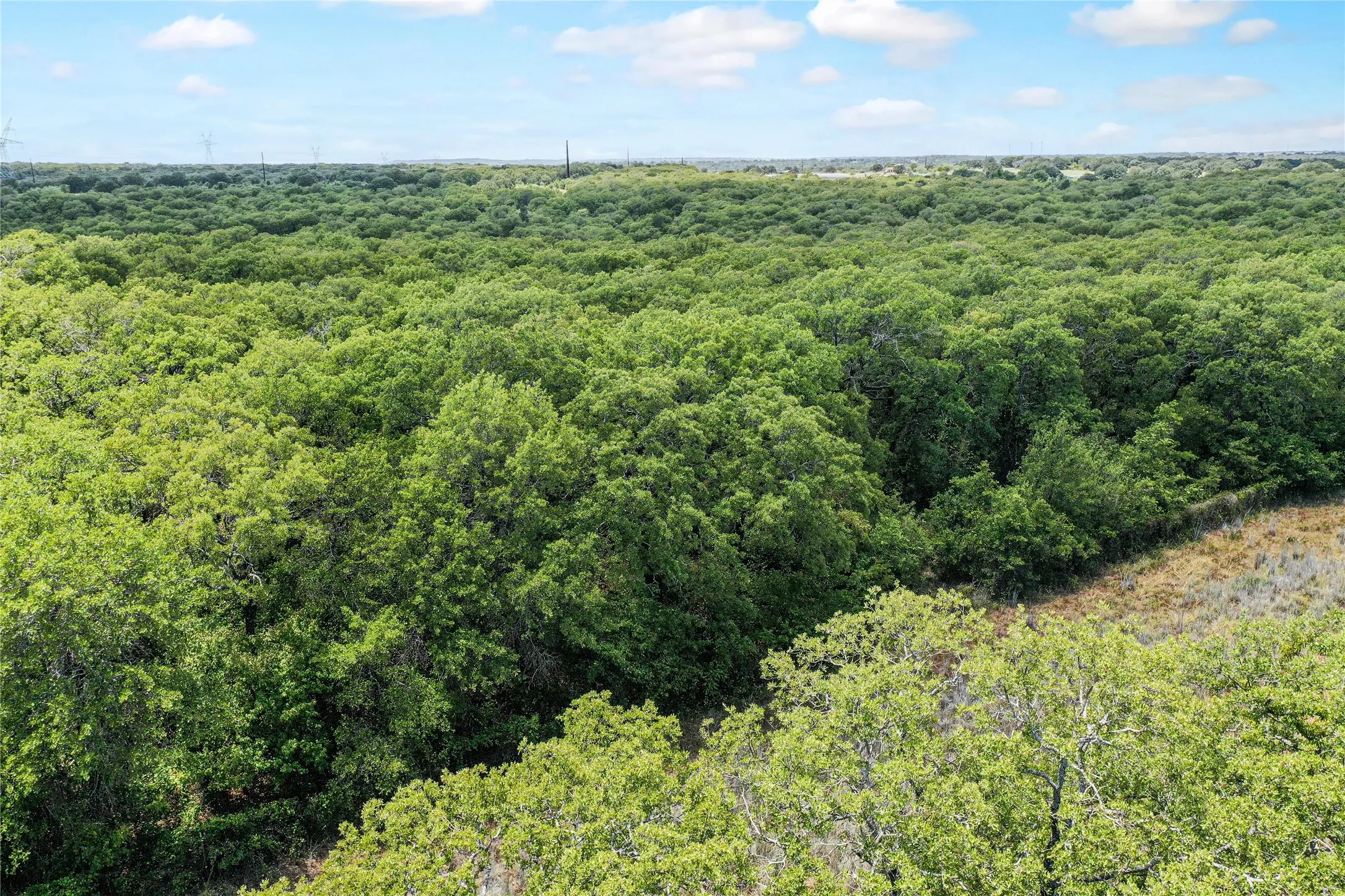 Ranch For Sale in Jack County , 8818 S 281 Highway, Perrin, Texas 76486, 0, 0, Garage spaces, 0 Sqft, built in 0, Price $532,925, mls#21191525, Real Estate Agent in Perrin, Homes For Sale in Jack county, Homes For Sale in Perrin, Realtor in Perrin Texas, Real Estate Brokerage Independent Realty Texas, Luminita Cordes Realtor