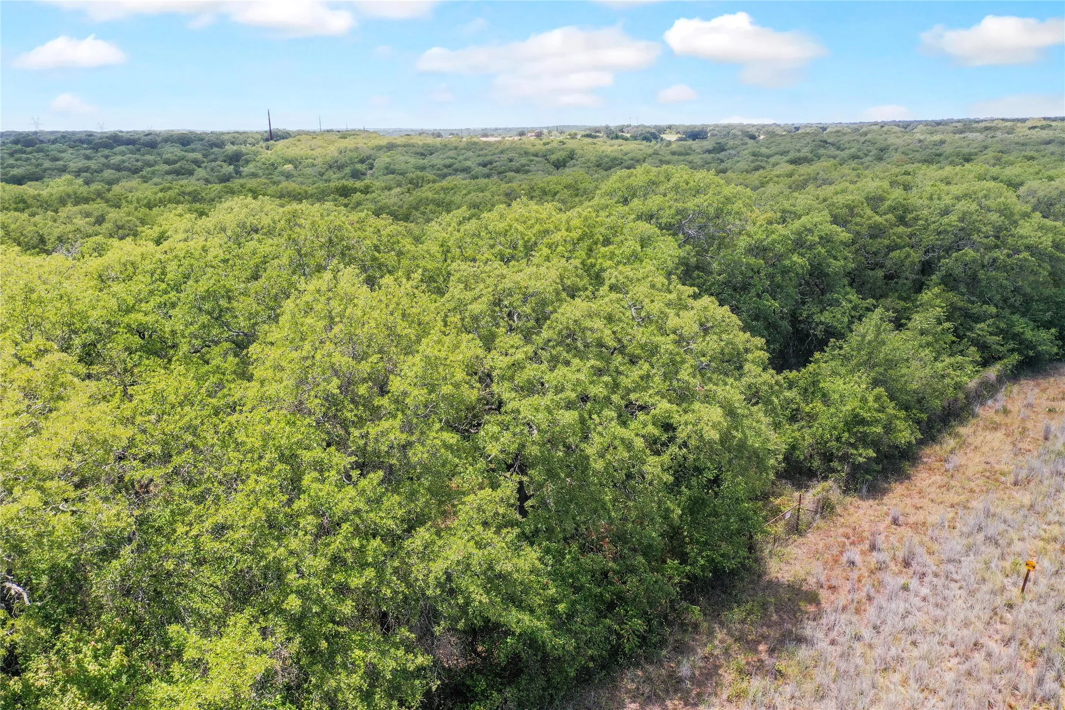 Ranch For Sale in Jack County , 8818 S 281 Highway, Perrin, Texas 76486, 0, 0, Garage spaces, 0 Sqft, built in 0, Price $532,925, mls#21191525, Real Estate Agent in Perrin, Homes For Sale in Jack county, Homes For Sale in Perrin, Realtor in Perrin Texas, Real Estate Brokerage Independent Realty Texas, Luminita Cordes Realtor