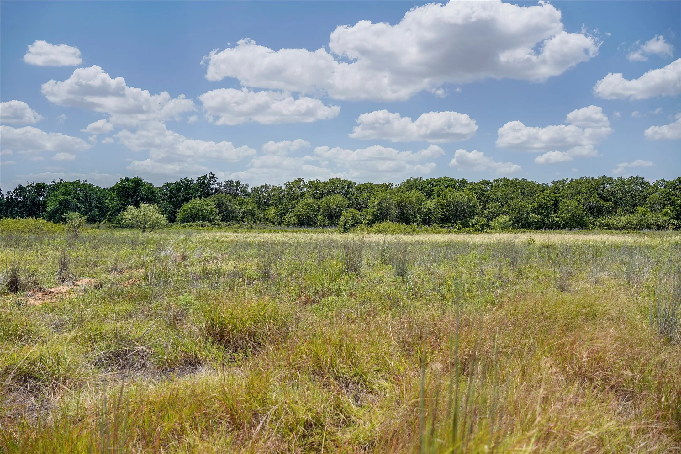 Ranch For Sale in Jack County , 8818 S 281 Highway, Perrin, Texas 76486, 0, 0, Garage spaces, 0 Sqft, built in 0, Price $532,925, mls#21191525, Real Estate Agent in Perrin, Homes For Sale in Jack county, Homes For Sale in Perrin, Realtor in Perrin Texas, Real Estate Brokerage Independent Realty Texas, Luminita Cordes Realtor
