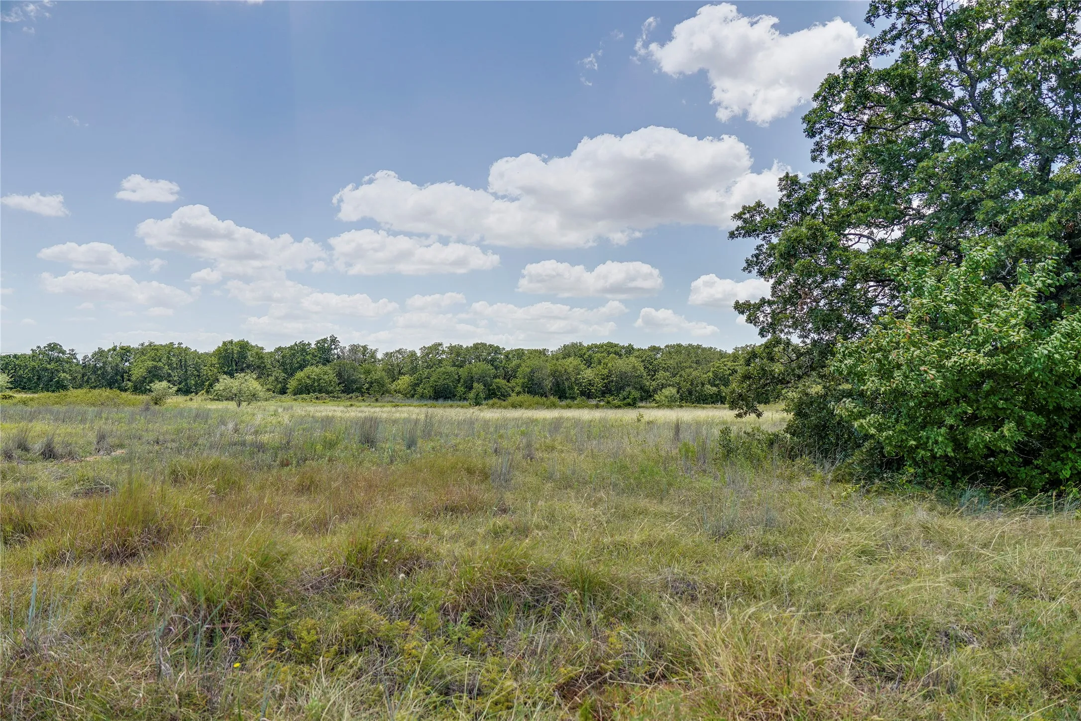Ranch For Sale in Jack County , 8818 S 281 Highway, Perrin, Texas 76486, 0, 0, Garage spaces, 0 Sqft, built in 0, Price $532,925, mls#21191525, Real Estate Agent in Perrin, Homes For Sale in Jack county, Homes For Sale in Perrin, Realtor in Perrin Texas, Real Estate Brokerage Independent Realty Texas, Luminita Cordes Realtor
