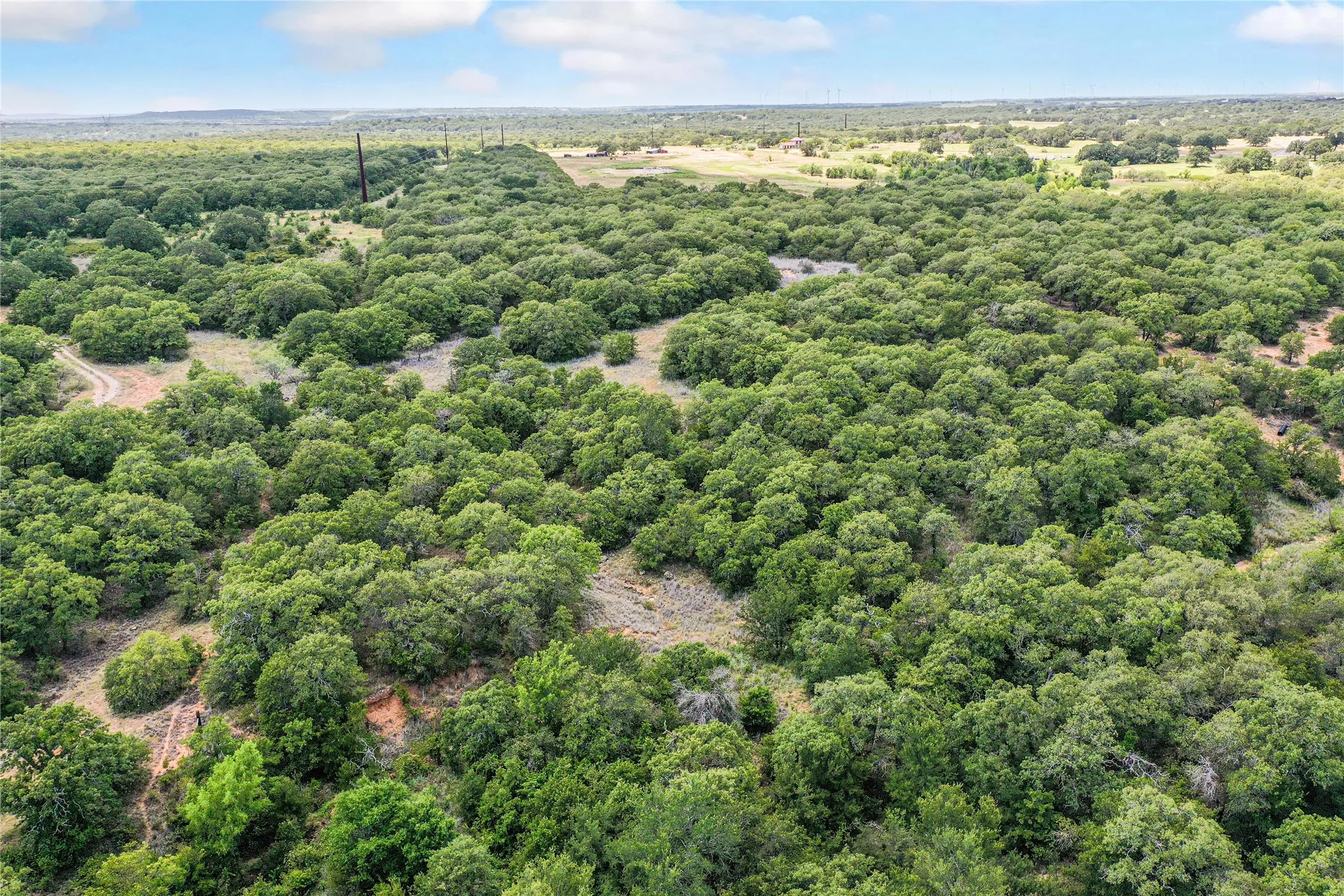 Ranch For Sale in Jack County , 8818 S 281 Highway, Perrin, Texas 76486, 0, 0, Garage spaces, 0 Sqft, built in 0, Price $532,925, mls#21191525, Real Estate Agent in Perrin, Homes For Sale in Jack county, Homes For Sale in Perrin, Realtor in Perrin Texas, Real Estate Brokerage Independent Realty Texas, Luminita Cordes Realtor