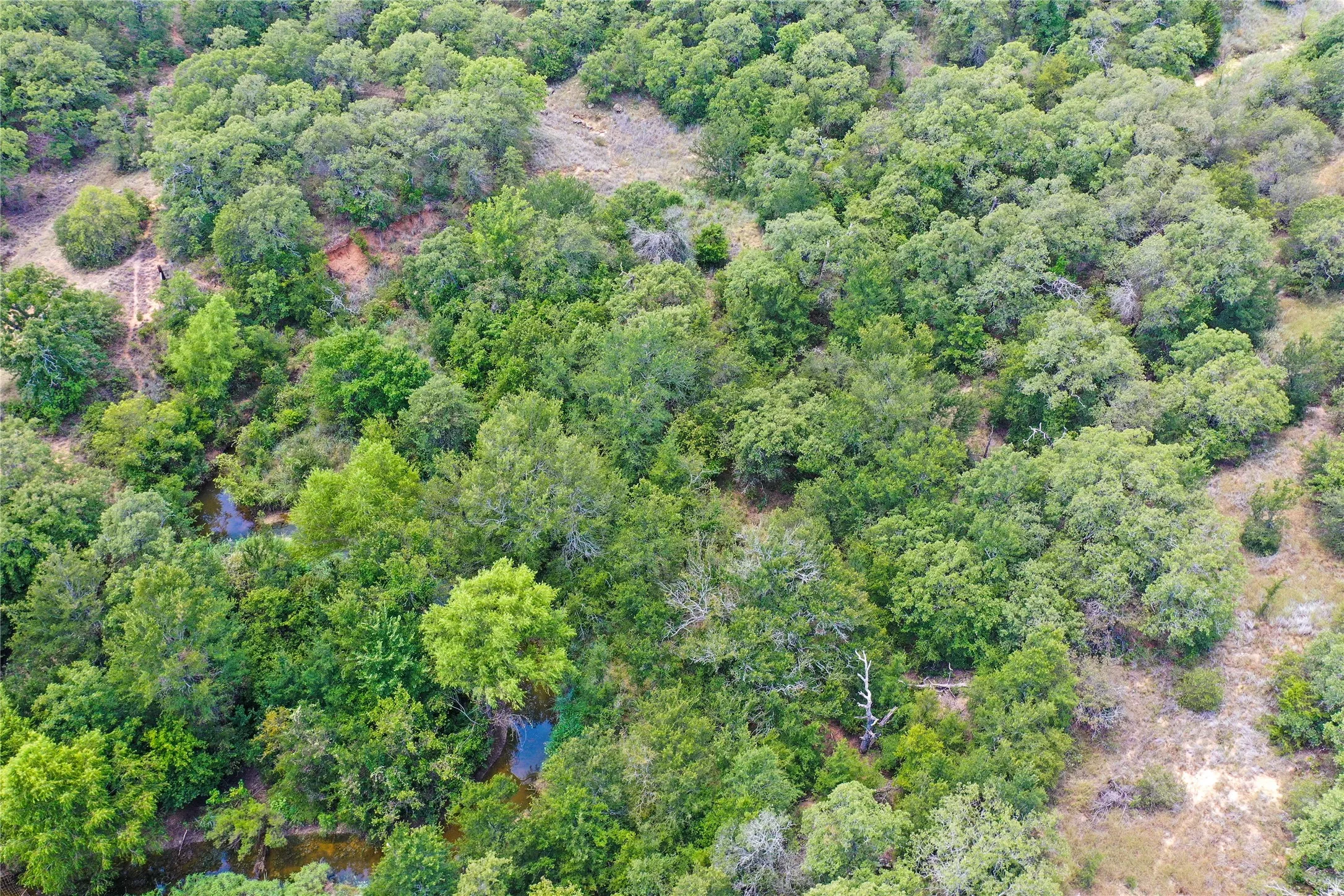 Ranch For Sale in Jack County , 8818 S 281 Highway, Perrin, Texas 76486, 0, 0, Garage spaces, 0 Sqft, built in 0, Price $532,925, mls#21191525, Real Estate Agent in Perrin, Homes For Sale in Jack county, Homes For Sale in Perrin, Realtor in Perrin Texas, Real Estate Brokerage Independent Realty Texas, Luminita Cordes Realtor