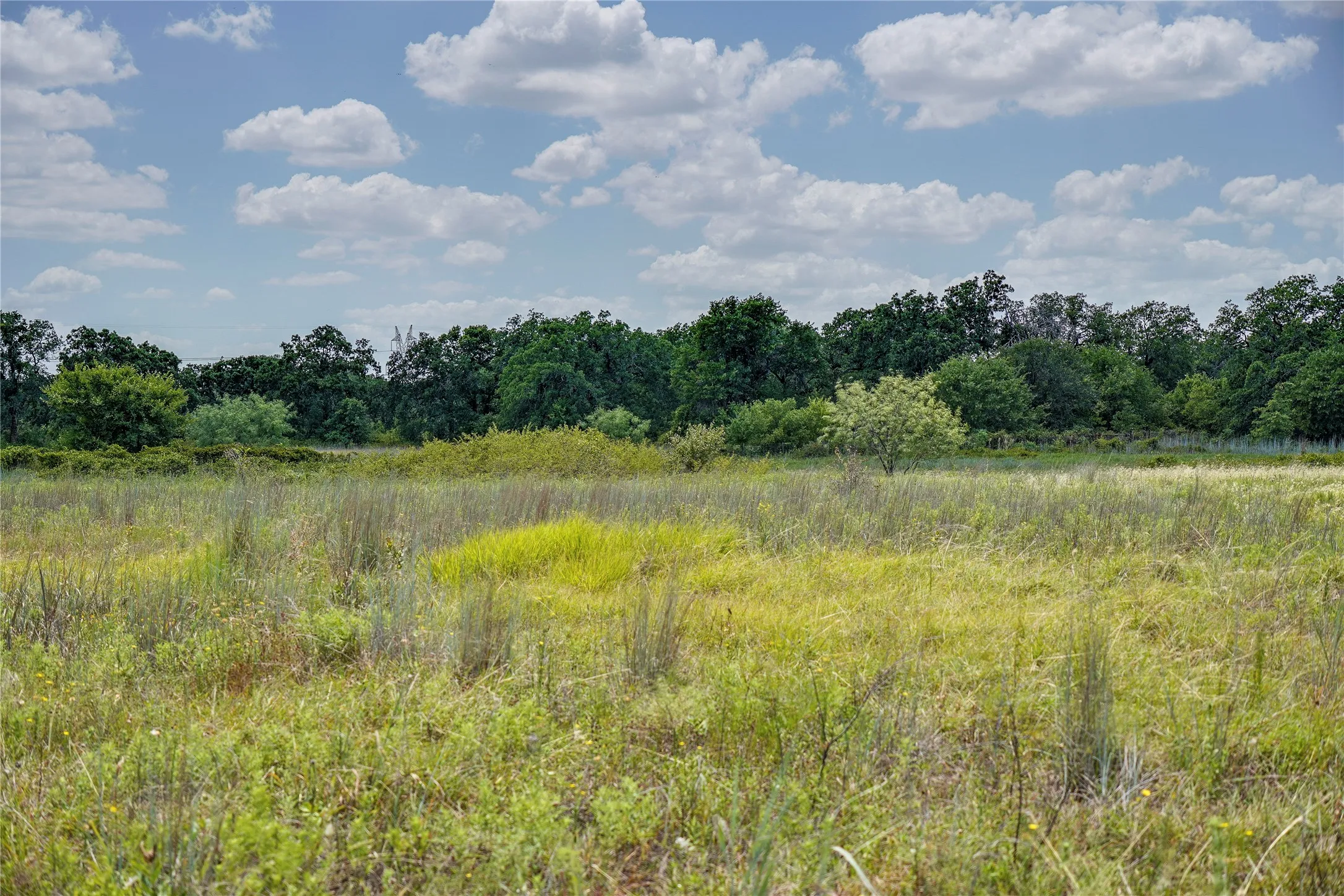 Ranch For Sale in Jack County , 8818 S 281 Highway, Perrin, Texas 76486, 0, 0, Garage spaces, 0 Sqft, built in 0, Price $532,925, mls#21191525, Real Estate Agent in Perrin, Homes For Sale in Jack county, Homes For Sale in Perrin, Realtor in Perrin Texas, Real Estate Brokerage Independent Realty Texas, Luminita Cordes Realtor