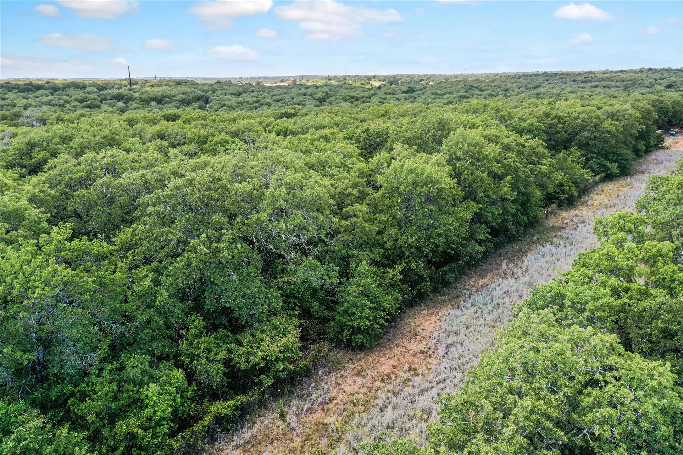 Ranch For Sale in Jack County , 8818 S 281 Highway, Perrin, Texas 76486, 0, 0, Garage spaces, 0 Sqft, built in 0, Price $532,925, mls#21191525, Real Estate Agent in Perrin, Homes For Sale in Jack county, Homes For Sale in Perrin, Realtor in Perrin Texas, Real Estate Brokerage Independent Realty Texas, Luminita Cordes Realtor