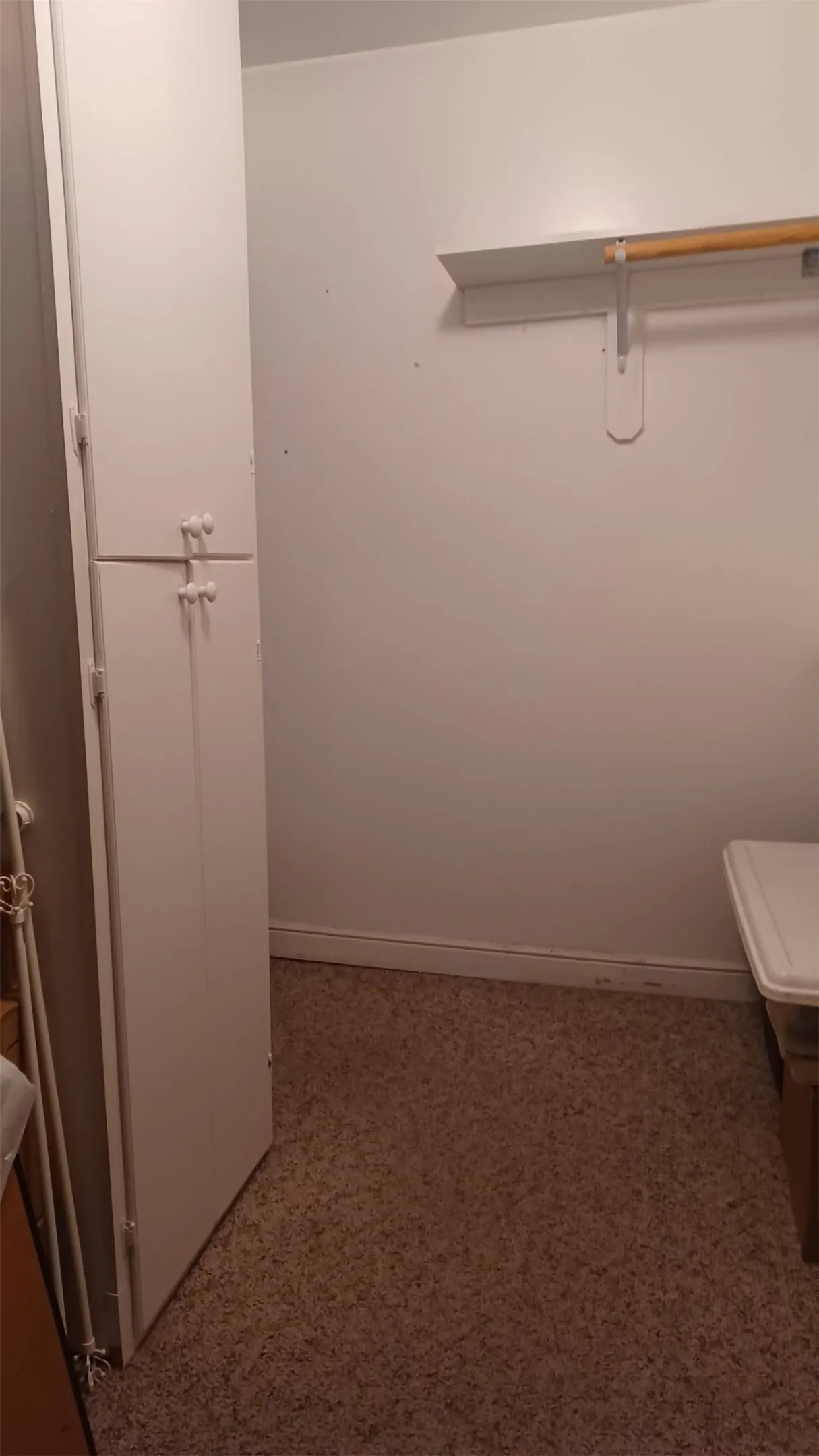 Walk in closet with light carpet