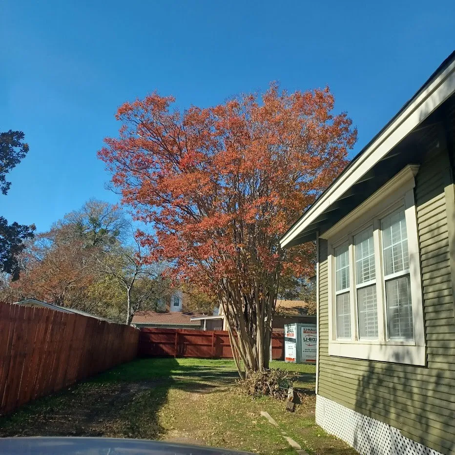 View of fenced backyard