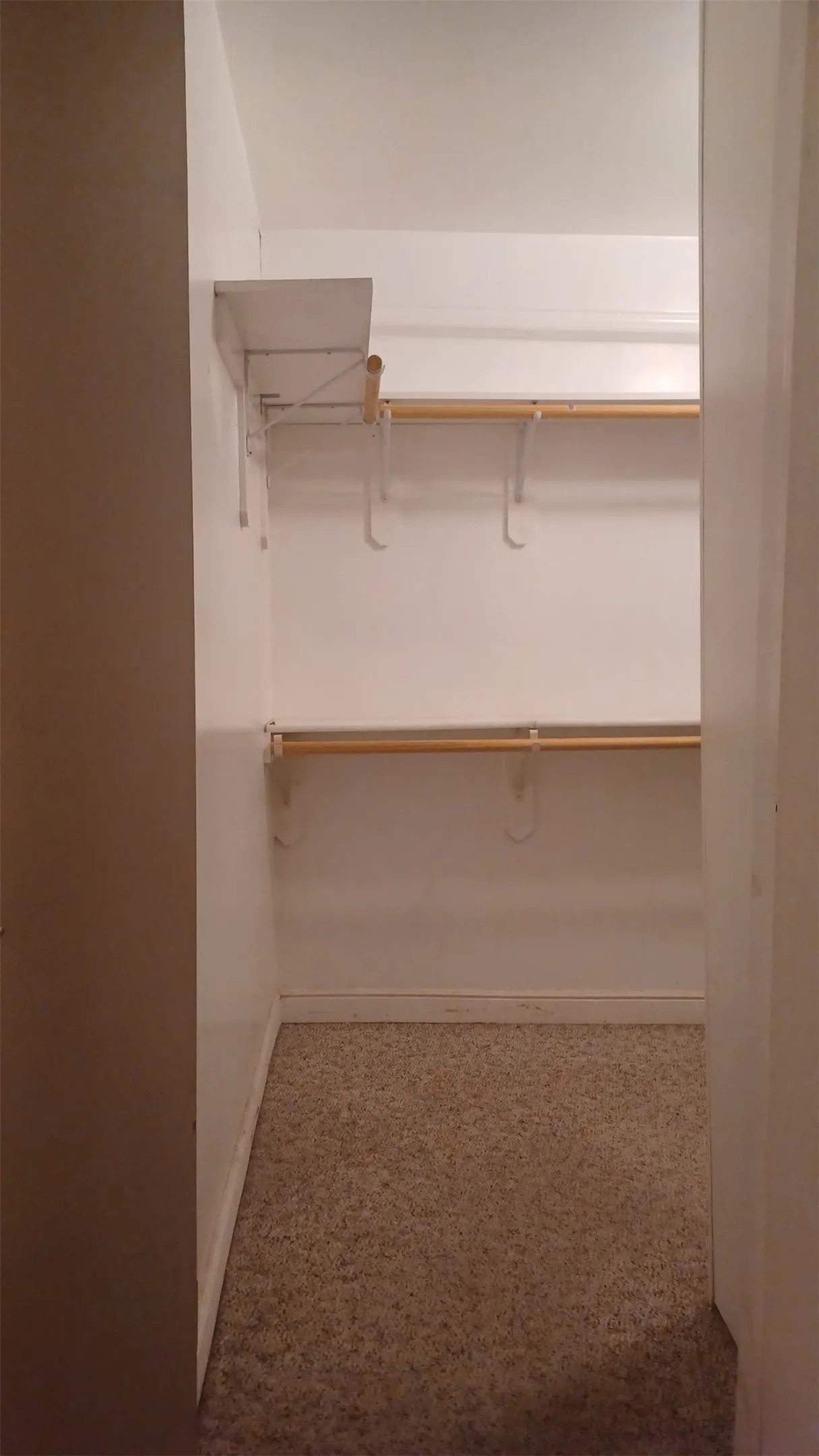 Walk in closet featuring light carpet