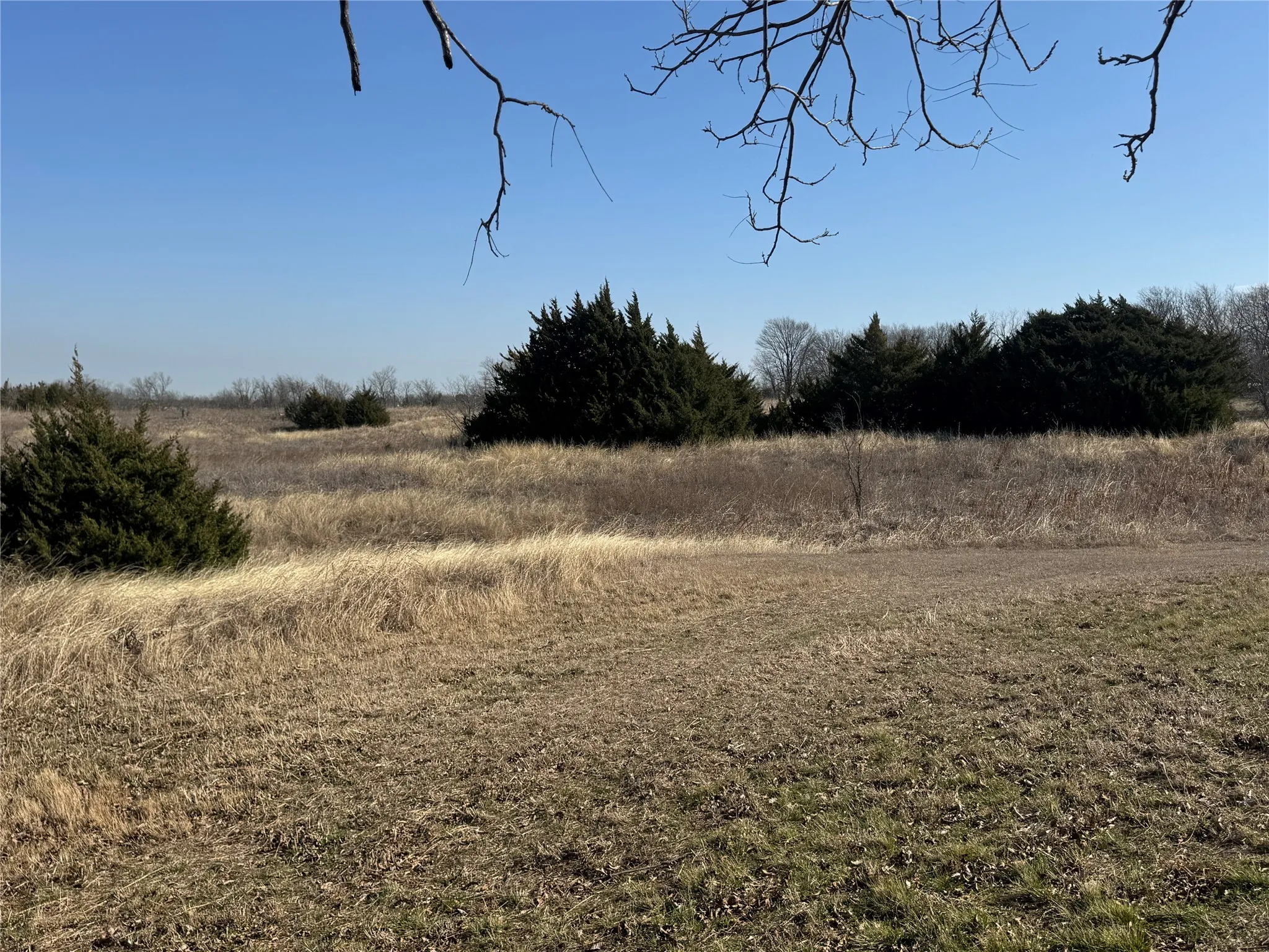 Improved Land For Sale in Ellis County , 3135 FM 85 Highway, Ennis, Texas 75119, 0, 0, Garage spaces, 0 Sqft, built in 0, Price $260,000, mls#21190890, Real Estate Agent in Ennis, Homes For Sale in Ellis county, Homes For Sale in Ennis, Realtor in Ennis Texas, Real Estate Brokerage Independent Realty Texas, Luminita Cordes Realtor