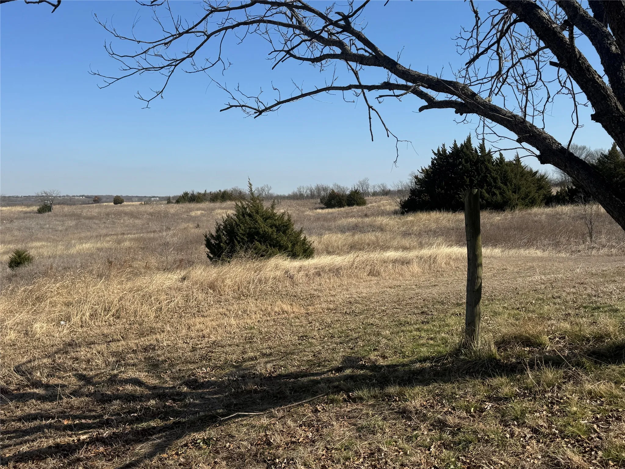 Improved Land For Sale in Ellis County , 3135 FM 85 Highway, Ennis, Texas 75119, 0, 0, Garage spaces, 0 Sqft, built in 0, Price $260,000, mls#21190890, Real Estate Agent in Ennis, Homes For Sale in Ellis county, Homes For Sale in Ennis, Realtor in Ennis Texas, Real Estate Brokerage Independent Realty Texas, Luminita Cordes Realtor