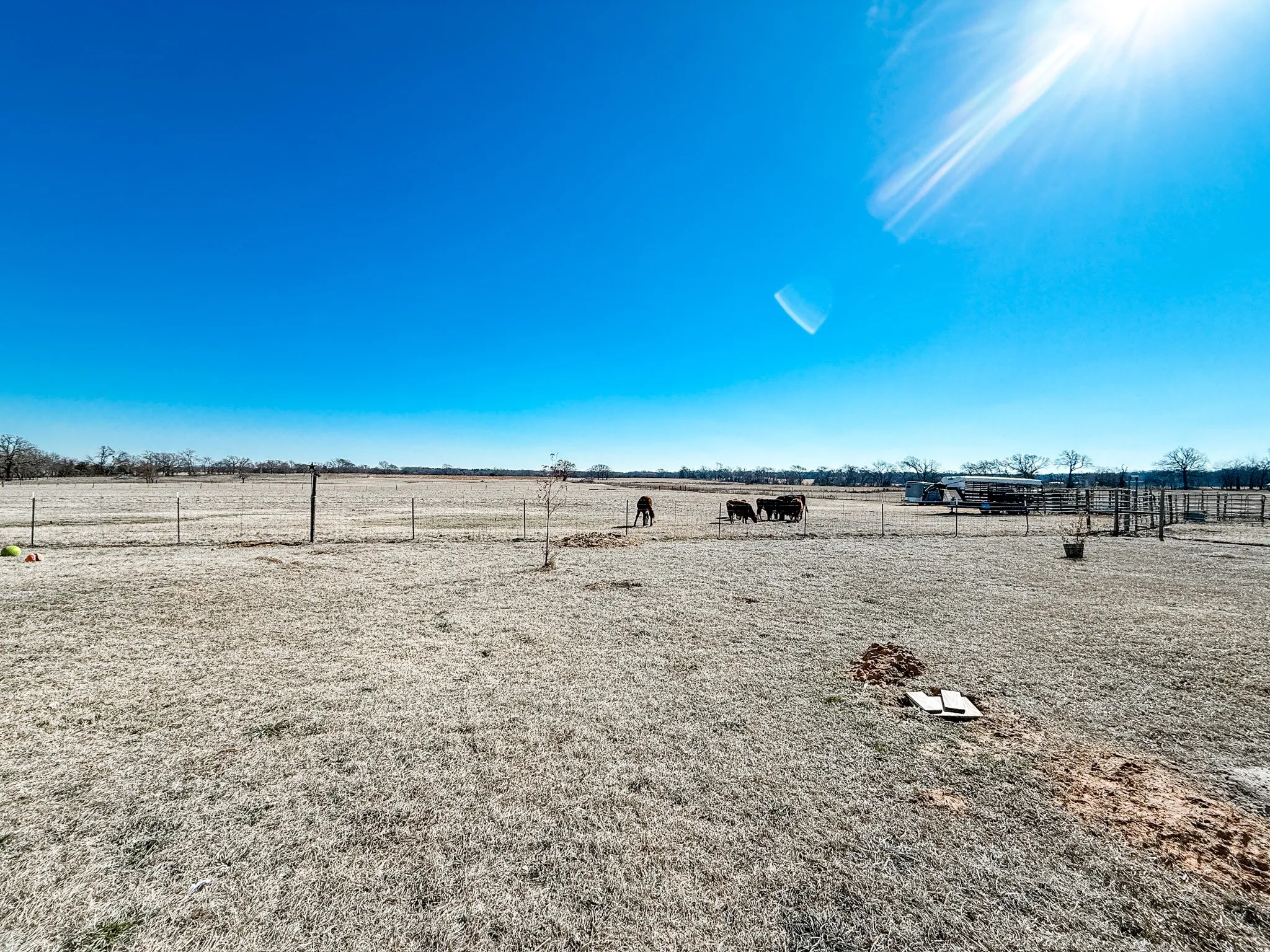 Fenced for animals
