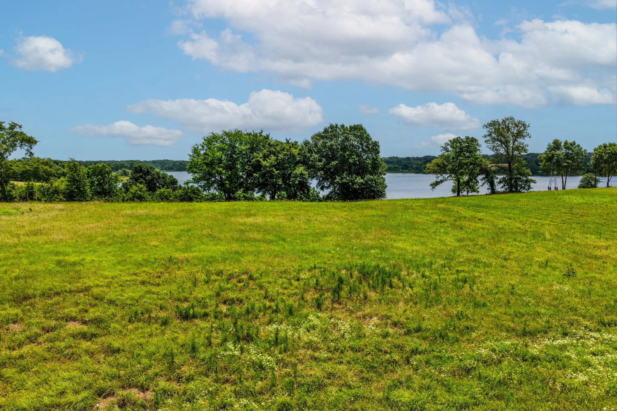 Unimproved Land For Sale in Rains County , Lot 1 Private Road 7327, Emory, Texas 75440, 0, 0, Garage spaces, 0 Sqft, built in 0, mls#21191779, Real Estate Agent in Emory, Homes For Sale in Rains county, Homes For Sale in Emory, Realtor in Emory Texas, Real Estate Brokerage Independent Realty Texas, Luminita Cordes Realtor