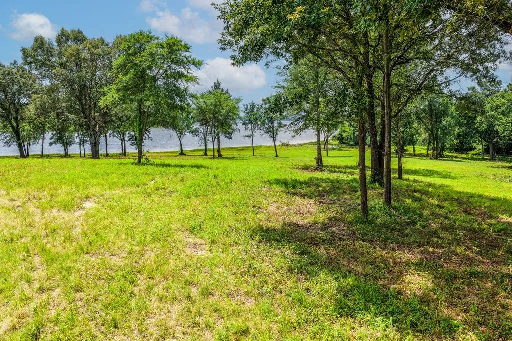Lot 7 Expansive open green space with mature trees, offering a tranquil setting with water views