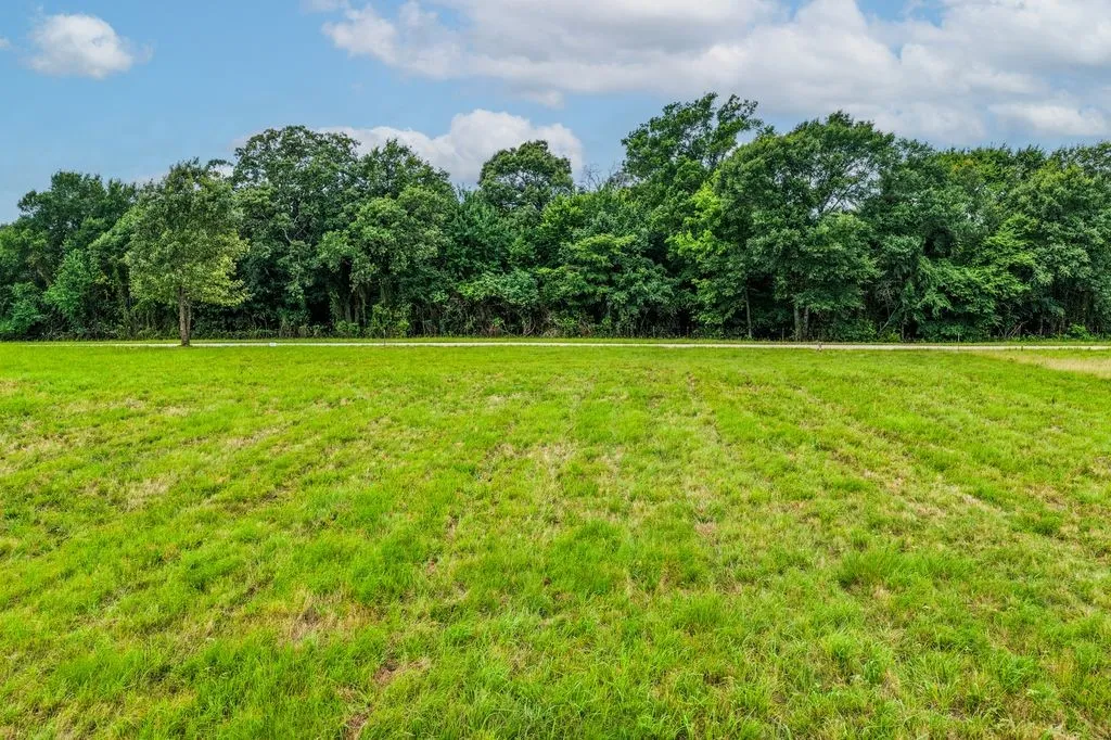 View from the Lot facing the road. The trees are across the road providing nice wooded view from the front door while the back view is of the gorgeous waters!  Expansive green space featuring mature trees bordering the property line