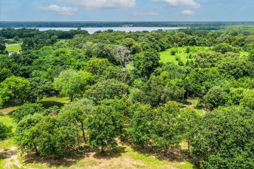 Lot 8 Expansive treed landscape featuring mature foliage, open grassy areas, and a visible body of water in the distance