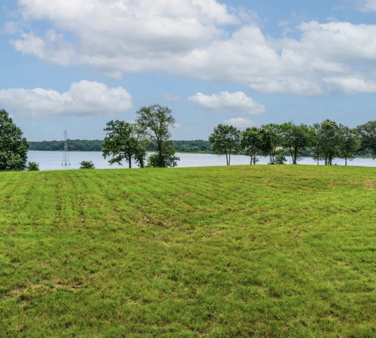 Unimproved Land For Sale in Rains County , Lot 2 Private Road 7327, Emory, Texas 75440, 0, 0, Garage spaces, 0 Sqft, built in 0, Price $200,000, mls#21192040, Real Estate Agent in Emory, Homes For Sale in Rains county, Homes For Sale in Emory, Realtor in Emory Texas, Real Estate Brokerage Independent Realty Texas, Luminita Cordes Realtor