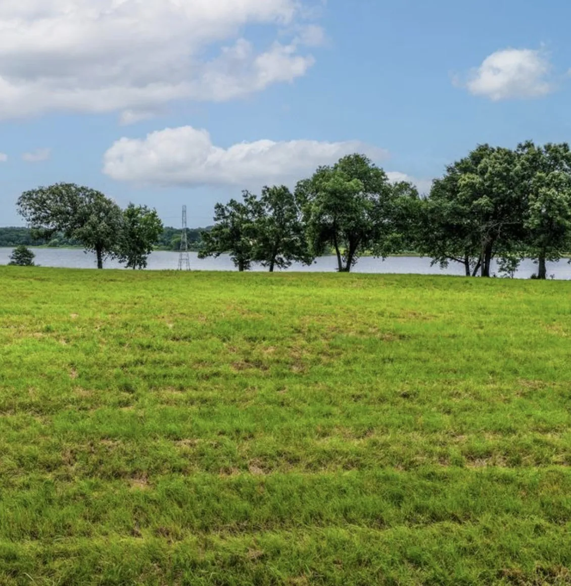 Unimproved Land For Sale in Rains County , Lot 4 Private Road 7327, Emory, Texas 75472, 0, 0, Garage spaces, 0 Sqft, built in 0, Price $225,000, mls#21192056, Real Estate Agent in Emory, Homes For Sale in Rains county, Homes For Sale in Emory, Realtor in Emory Texas, Real Estate Brokerage Independent Realty Texas, Luminita Cordes Realtor