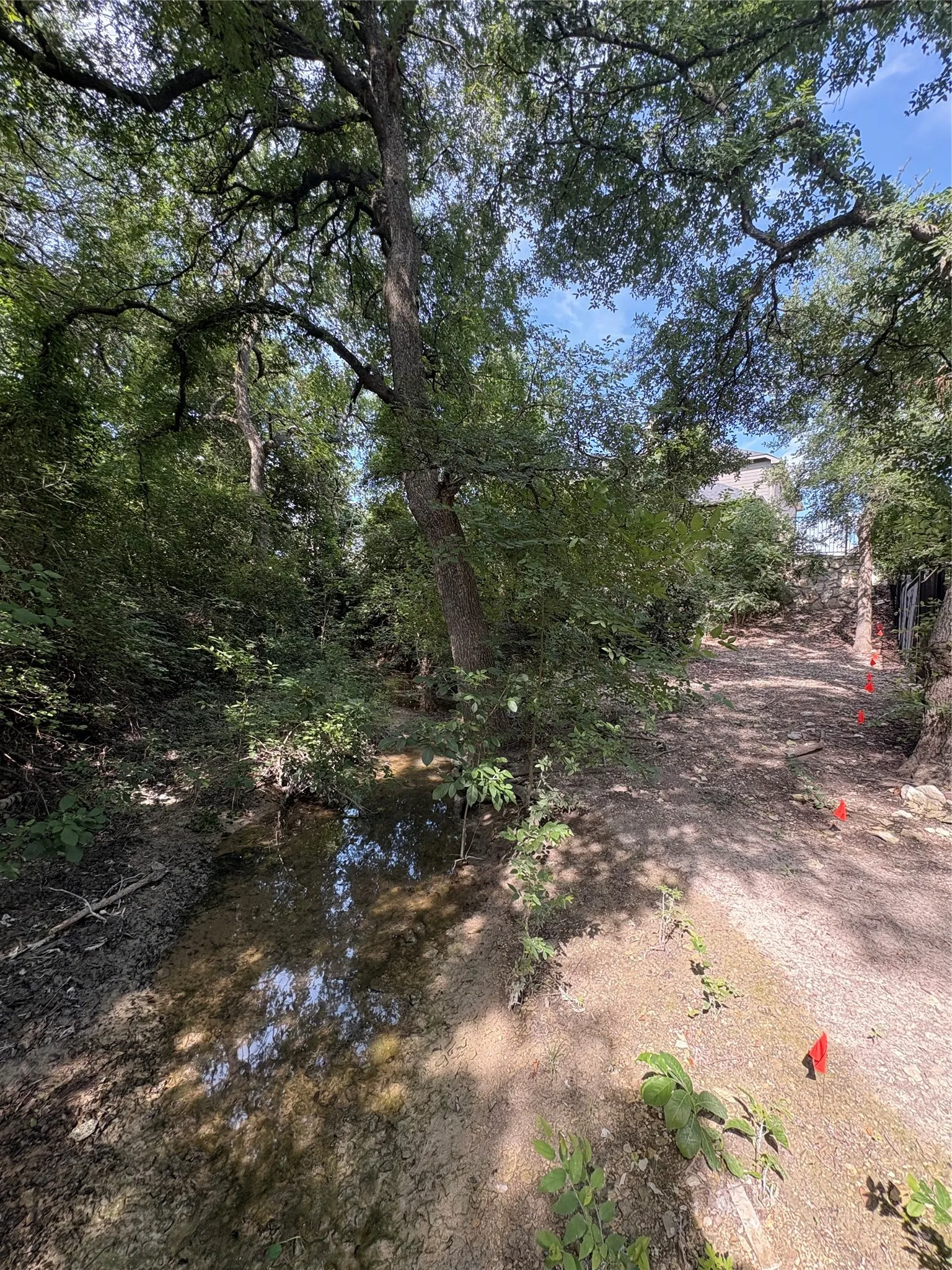 I put orange flags up to show approximately where the property line is. Probably goes beyond back fence up to golf range (wooded area).  Please see survey in documents for accurate property line. (I am not a licensed surveyor)