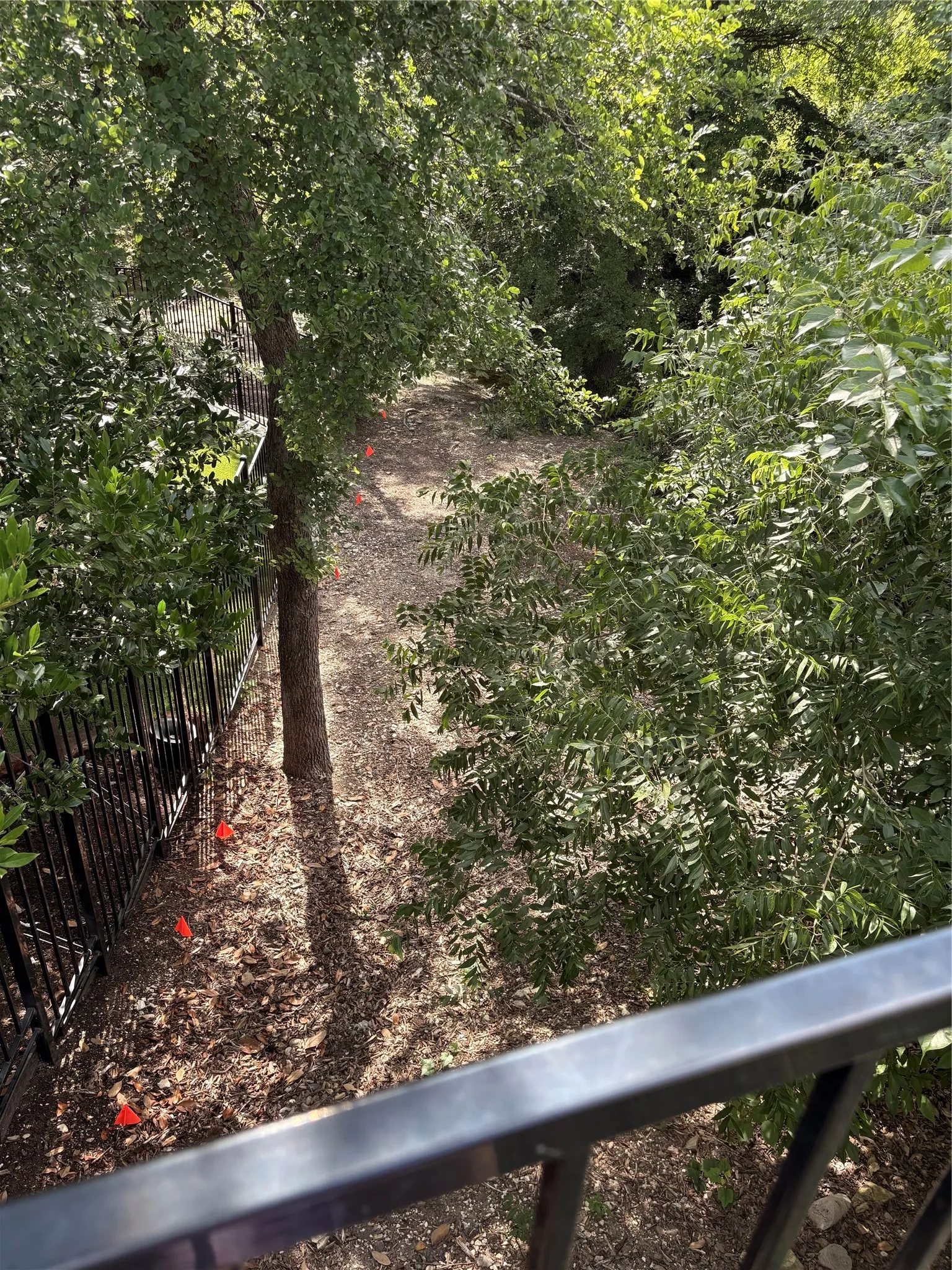 I put orange flags up to show approximately where the property line is. Probably goes beyond back fence up to golf range (wooded area).  Please see survey in documents for accurate property line. (I am not a licensed surveyor)