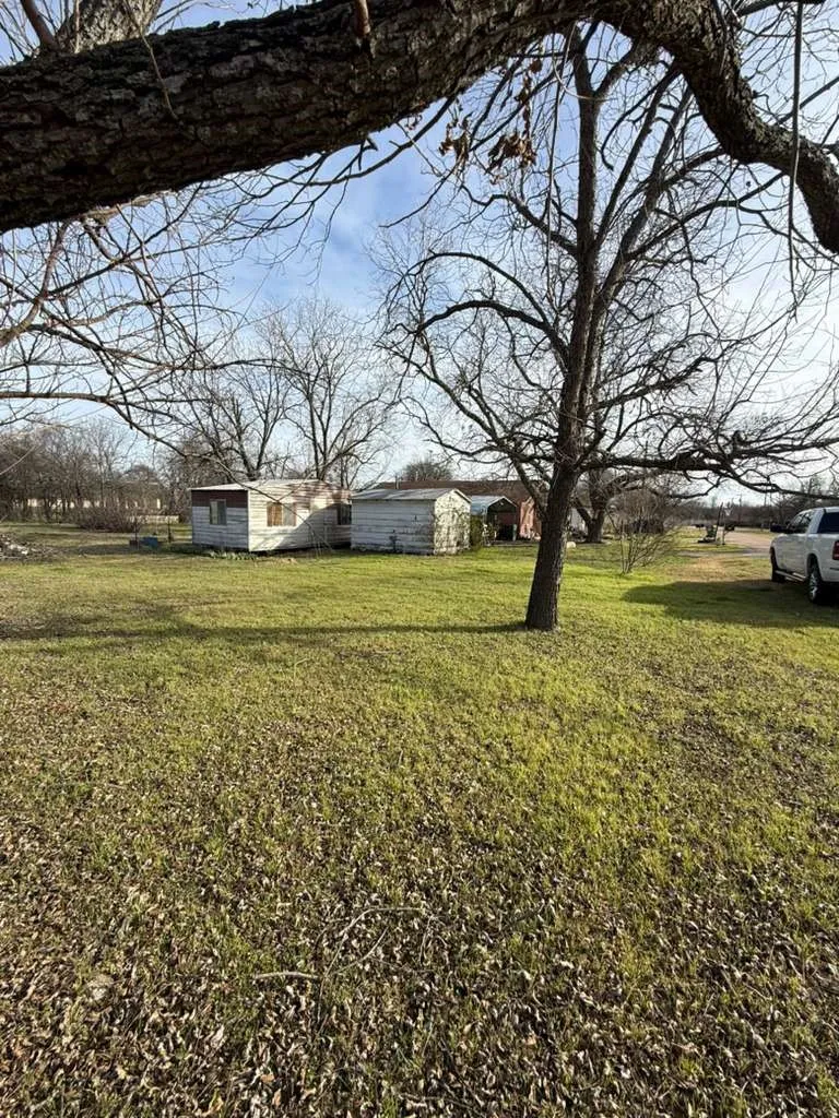 View of green lawn